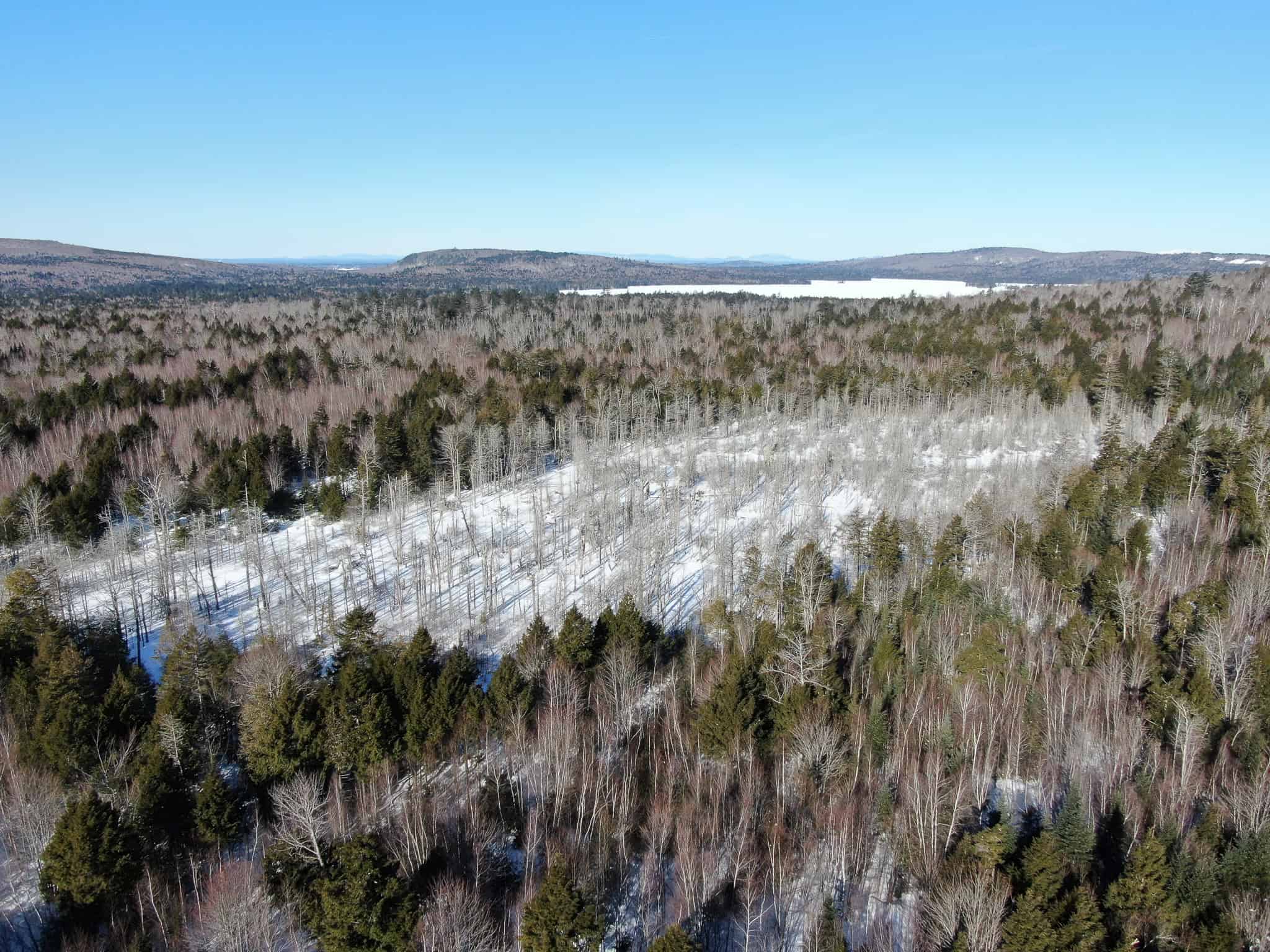 Maine Timberland Lot for Sale