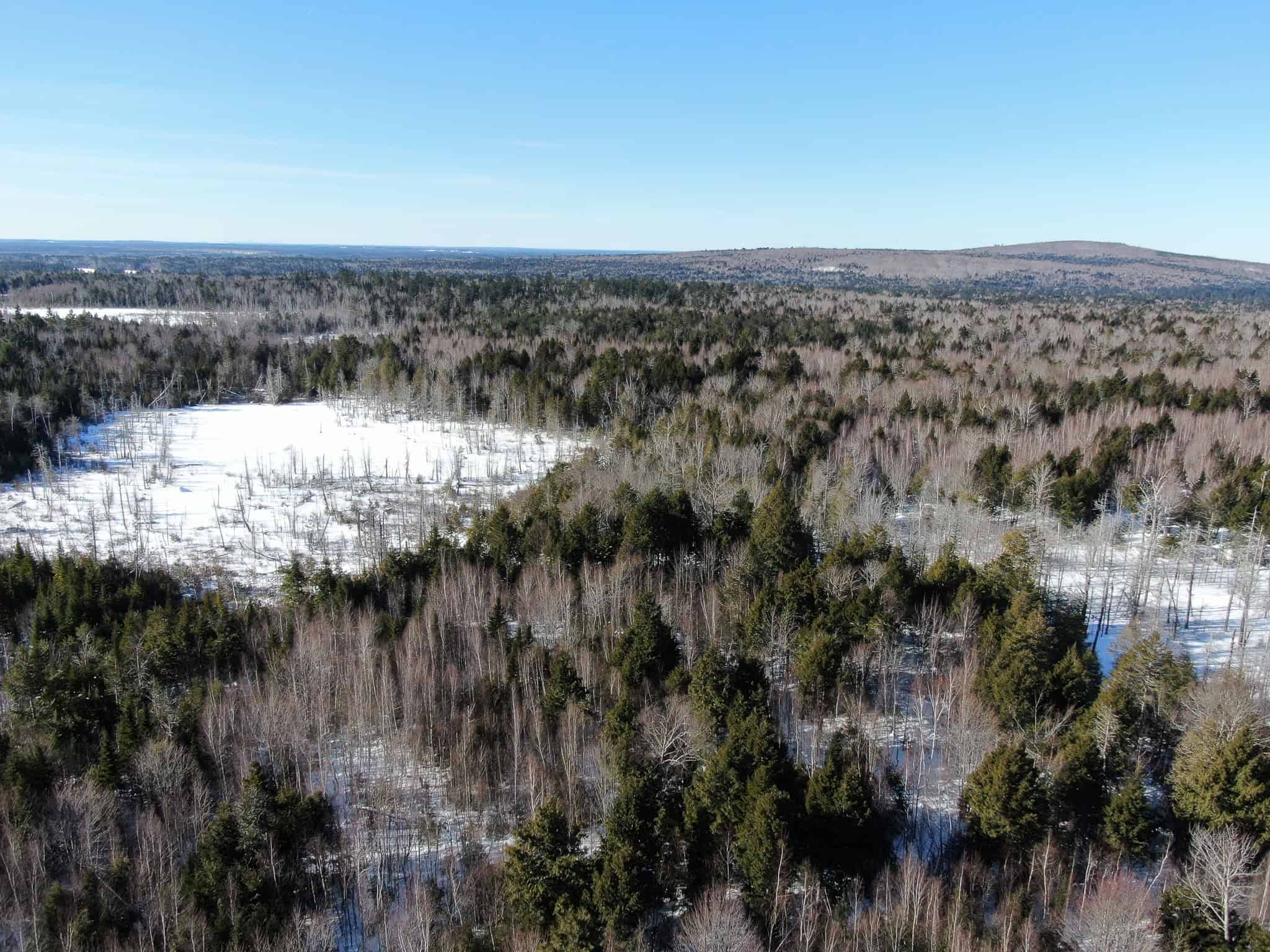 Maine Timberland Lot for Sale