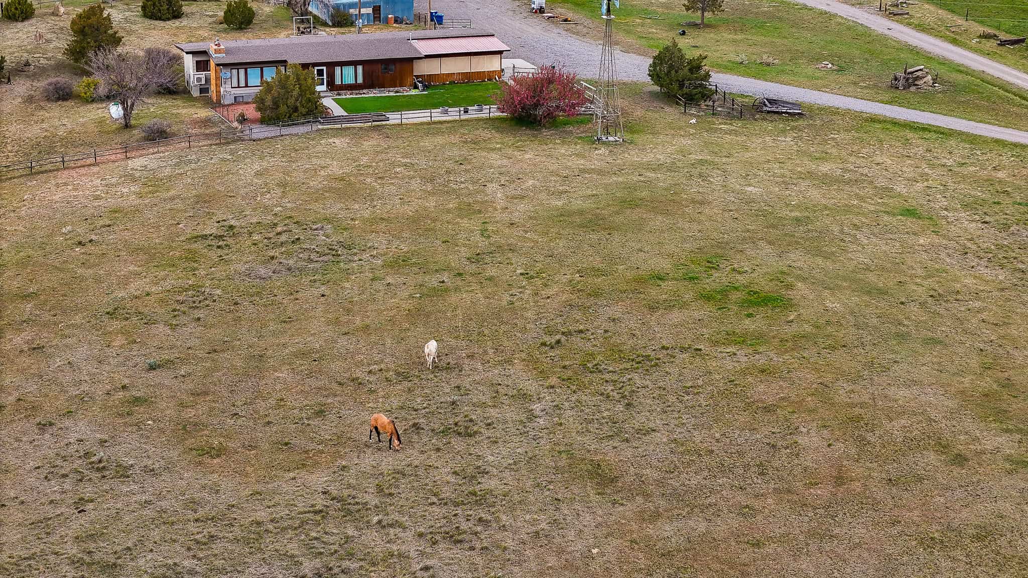 Hunter’s Paradise: Country Home on 160+ Acres in Custer, Montana