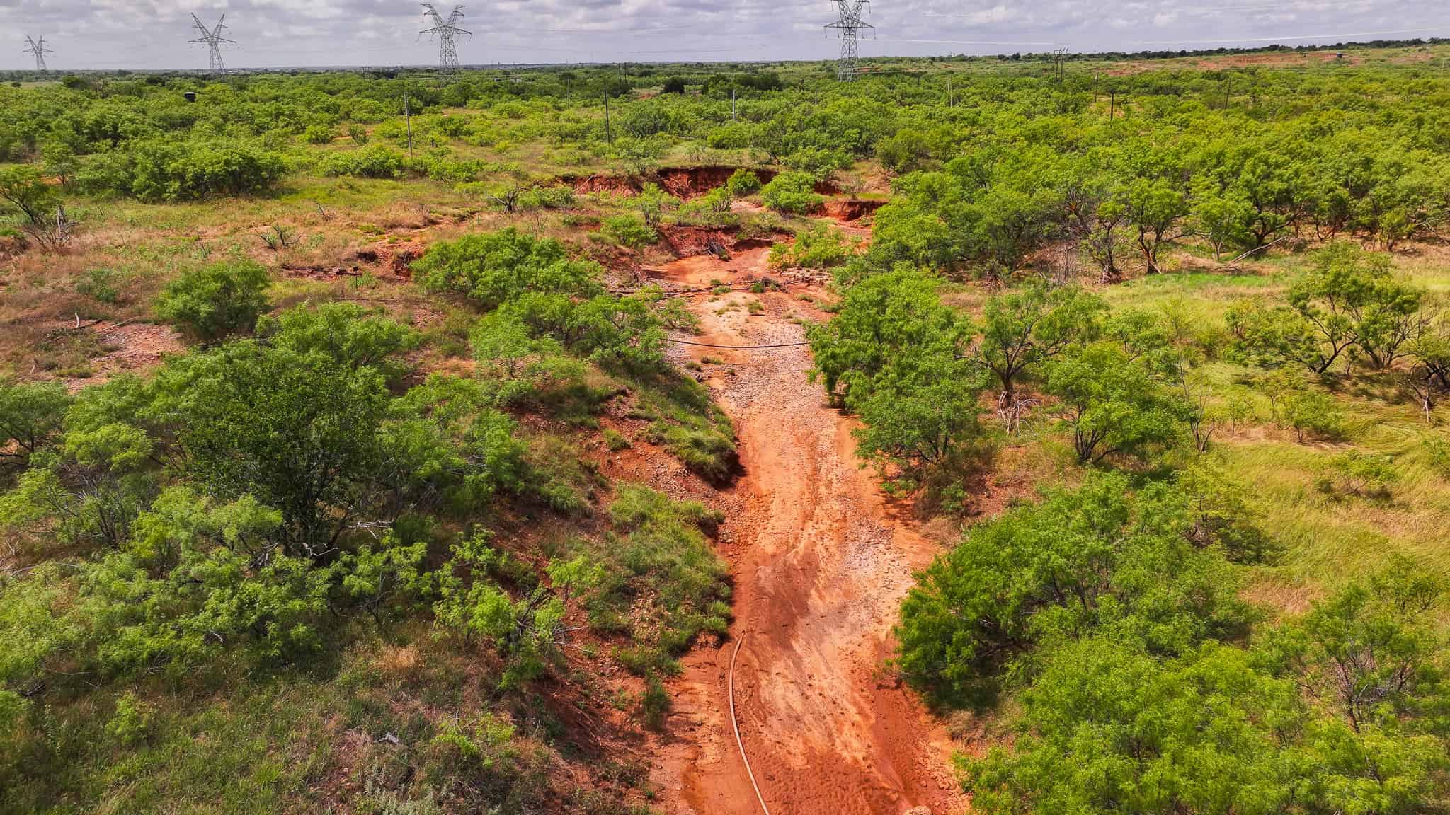 101 ac Superb Hunting Property Wichita County Texas