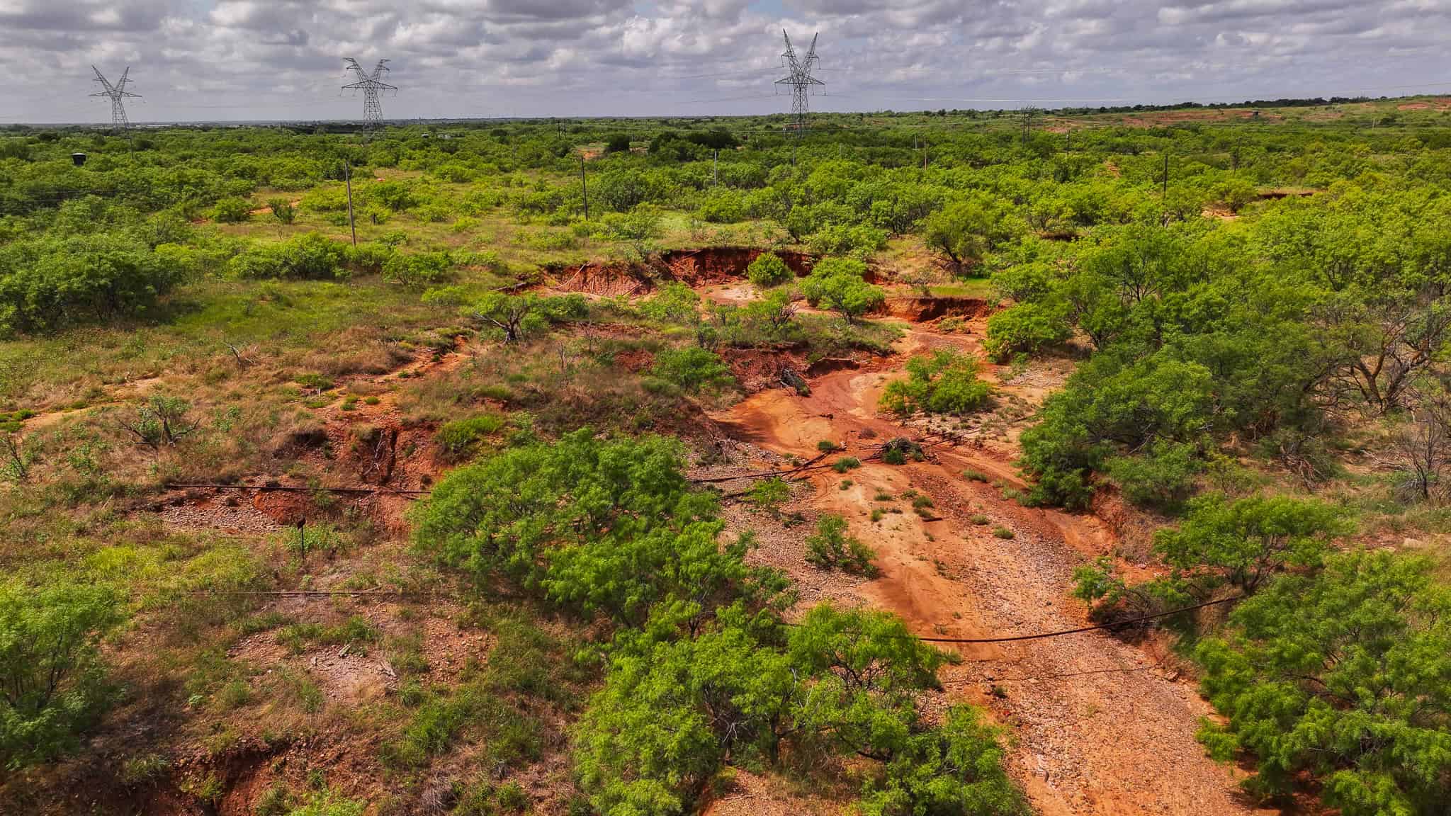 101 ac Superb Hunting Property Wichita County Texas