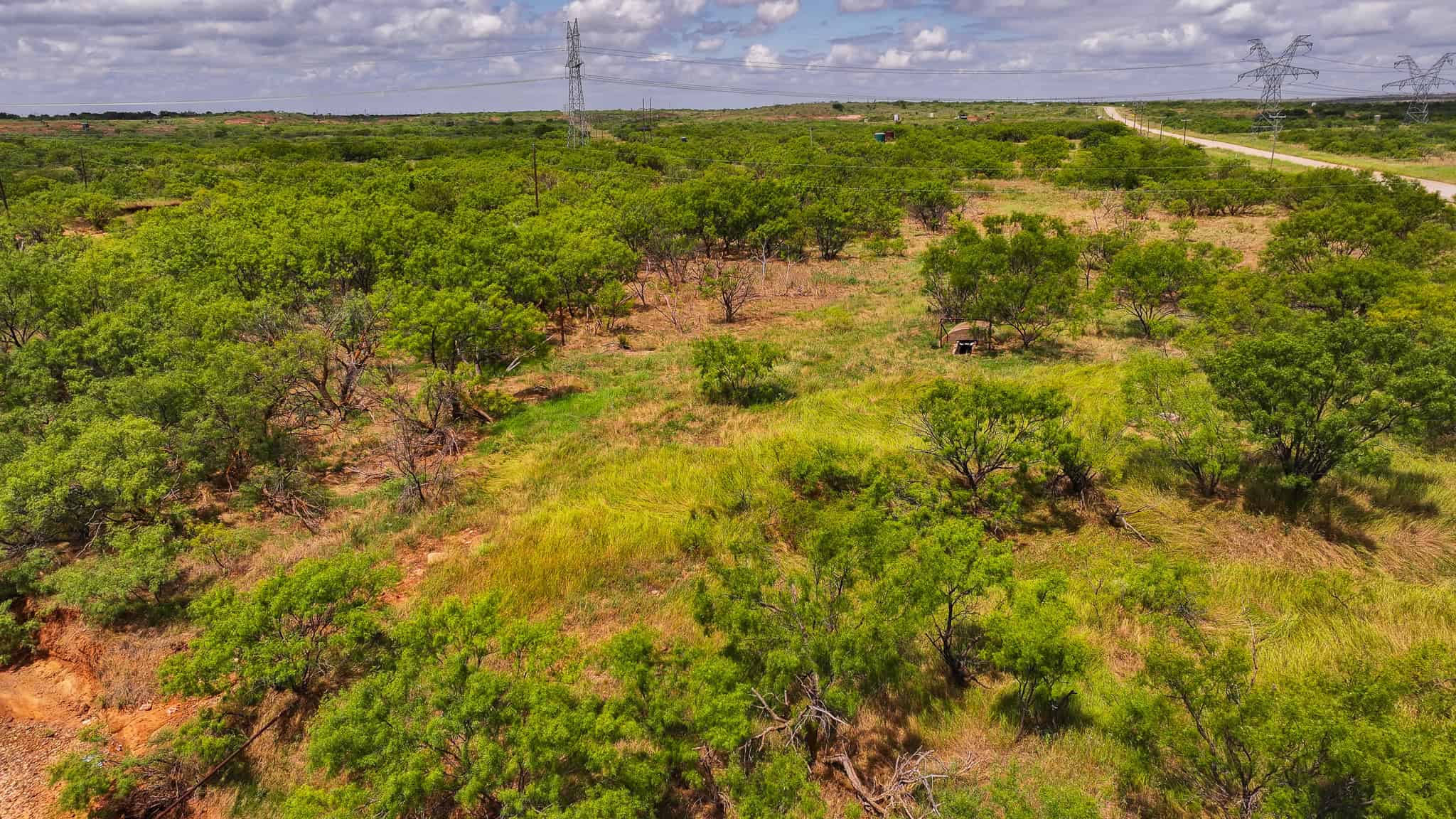 101 ac Superb Hunting Property Wichita County Texas