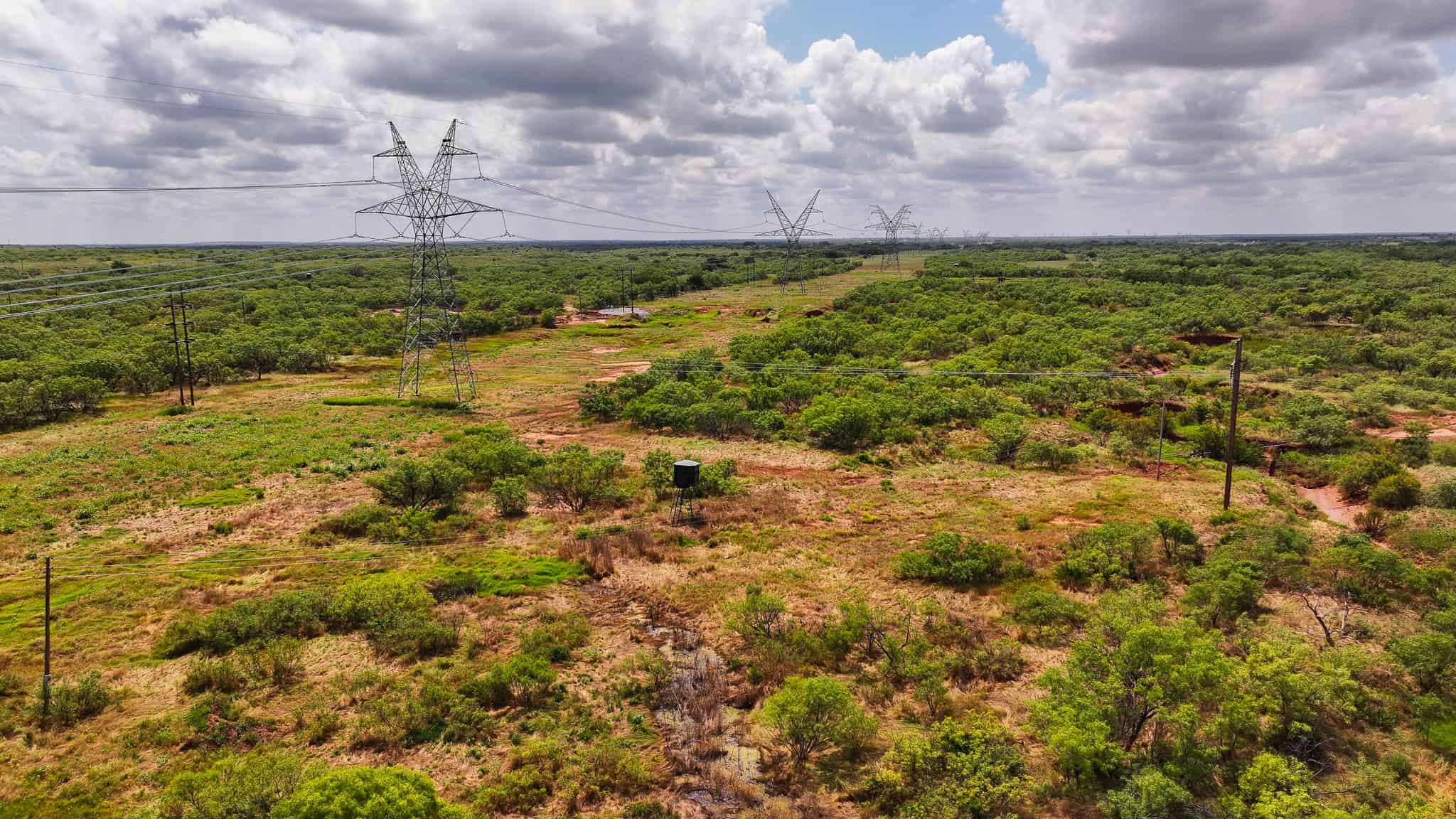 101 ac Superb Hunting Property Wichita County Texas
