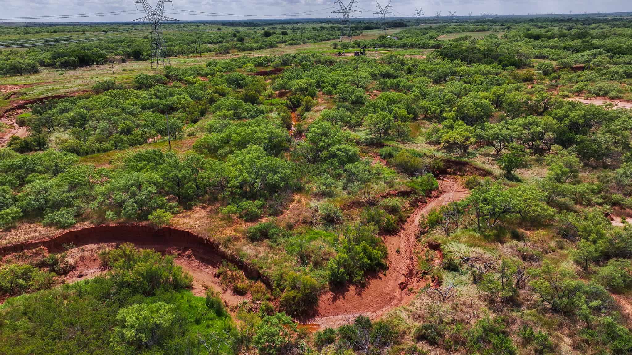 101 ac Superb Hunting Property Wichita County Texas