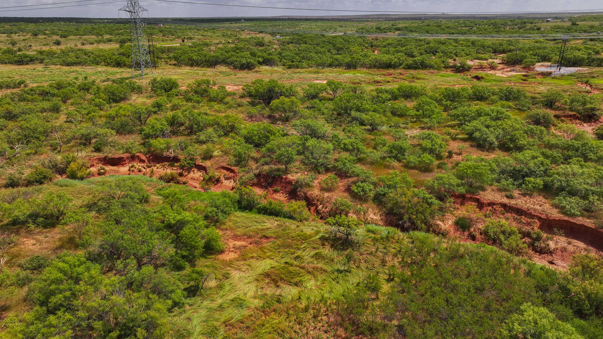 101 ac Superb Hunting Property Wichita County Texas