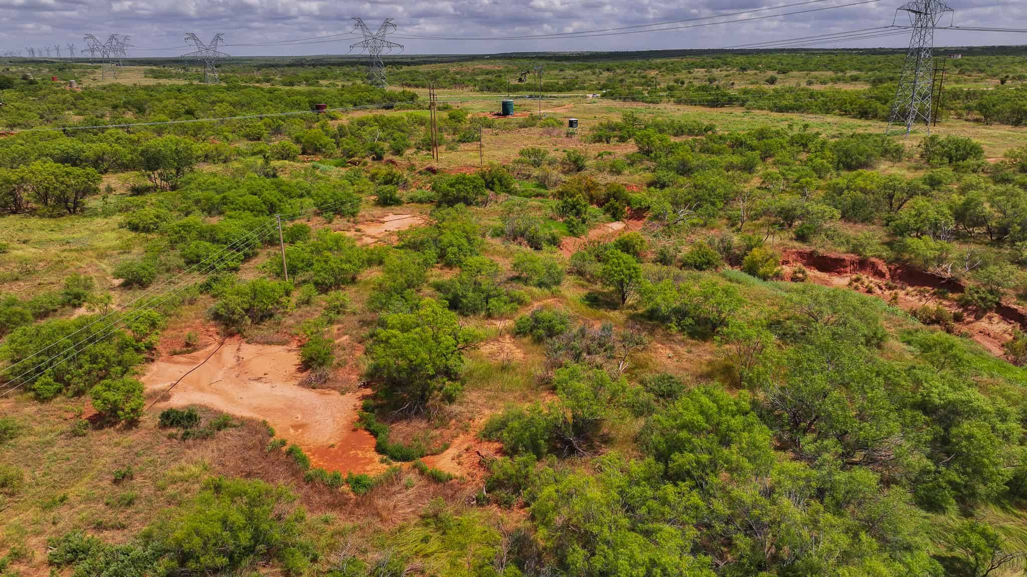 101 ac Superb Hunting Property Wichita County Texas