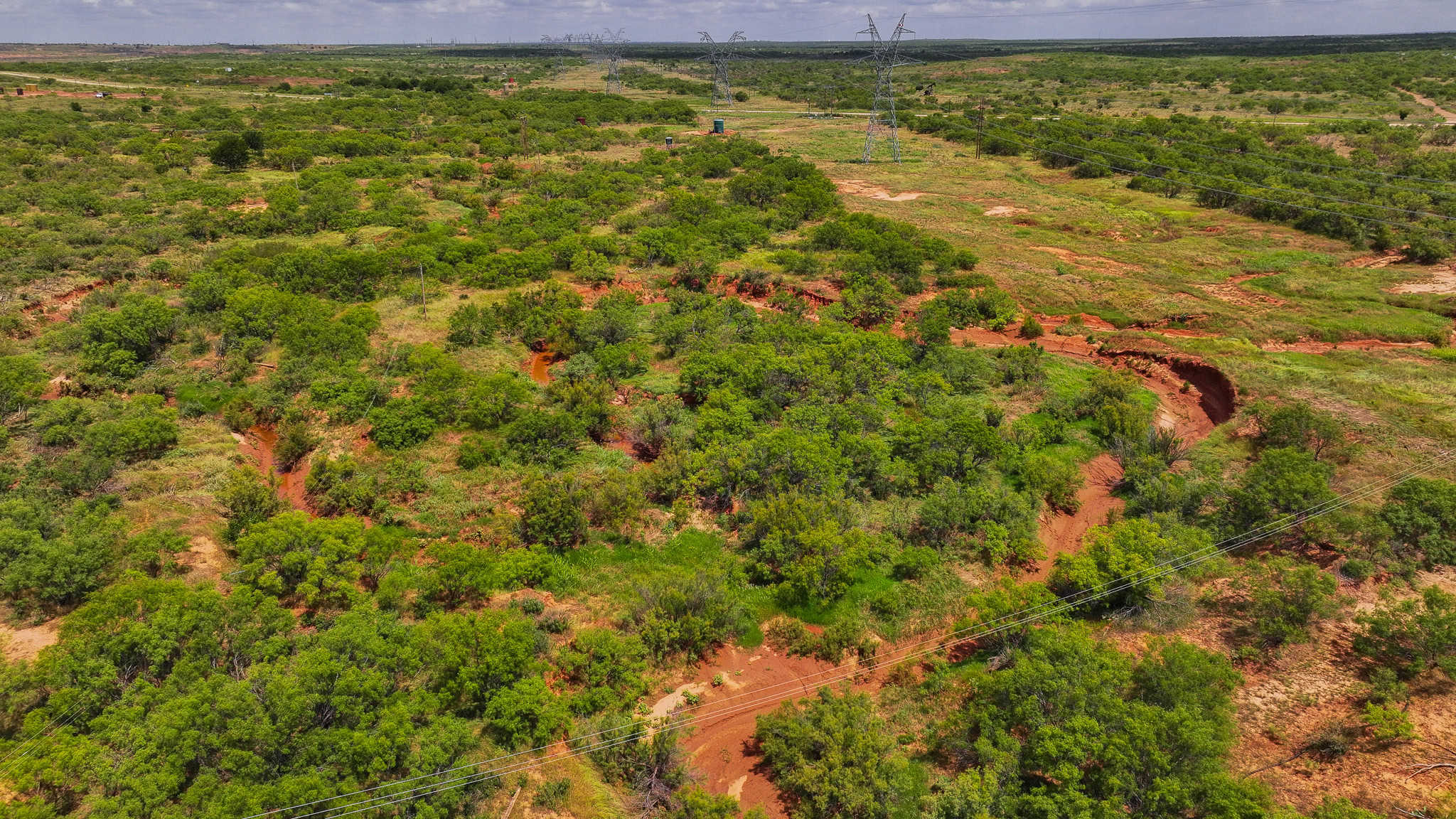 101 ac Superb Hunting Property Wichita County Texas