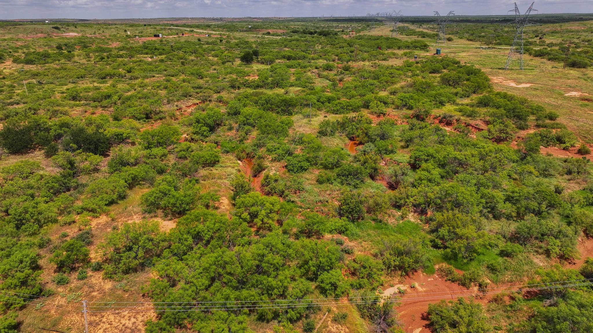 101 ac Superb Hunting Property Wichita County Texas