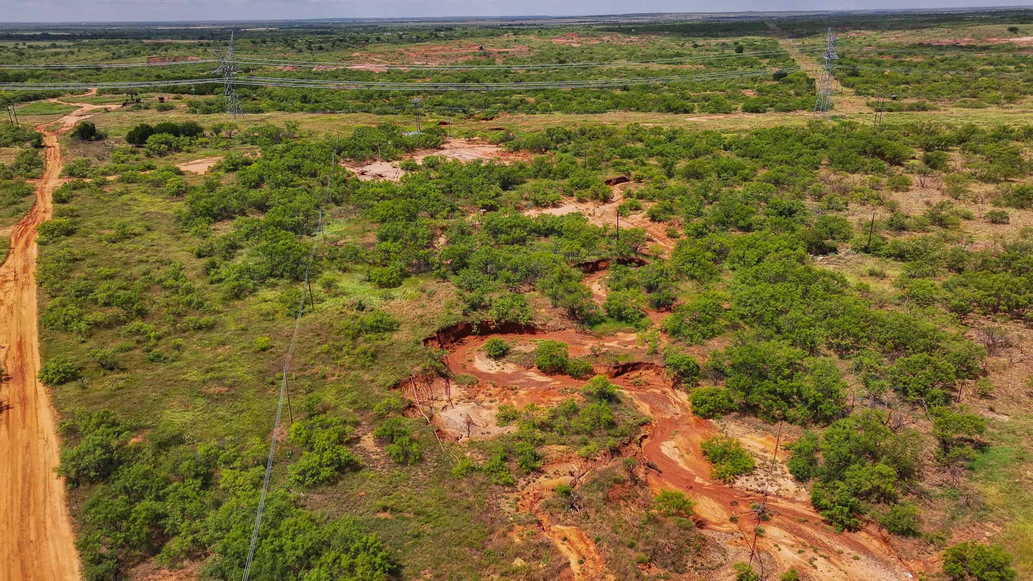 101 ac Superb Hunting Property Wichita County Texas