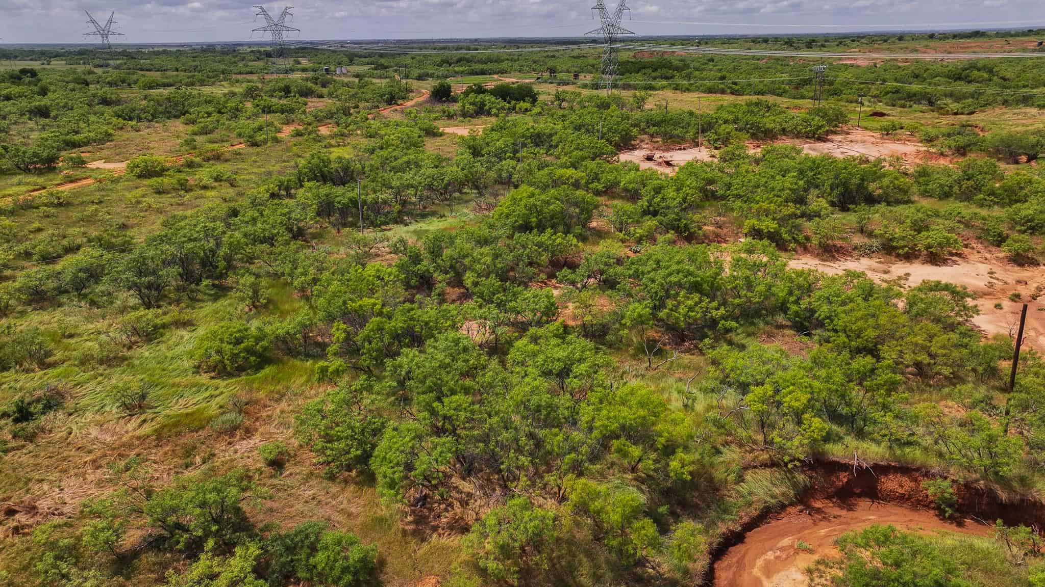 101 ac Superb Hunting Property Wichita County Texas