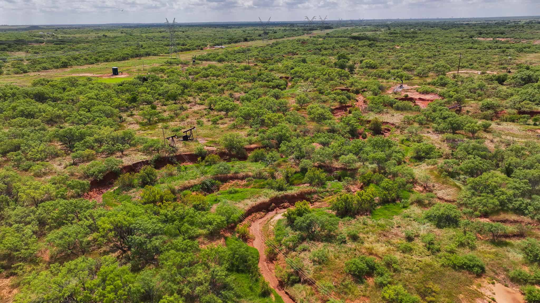 101 ac Superb Hunting Property Wichita County Texas
