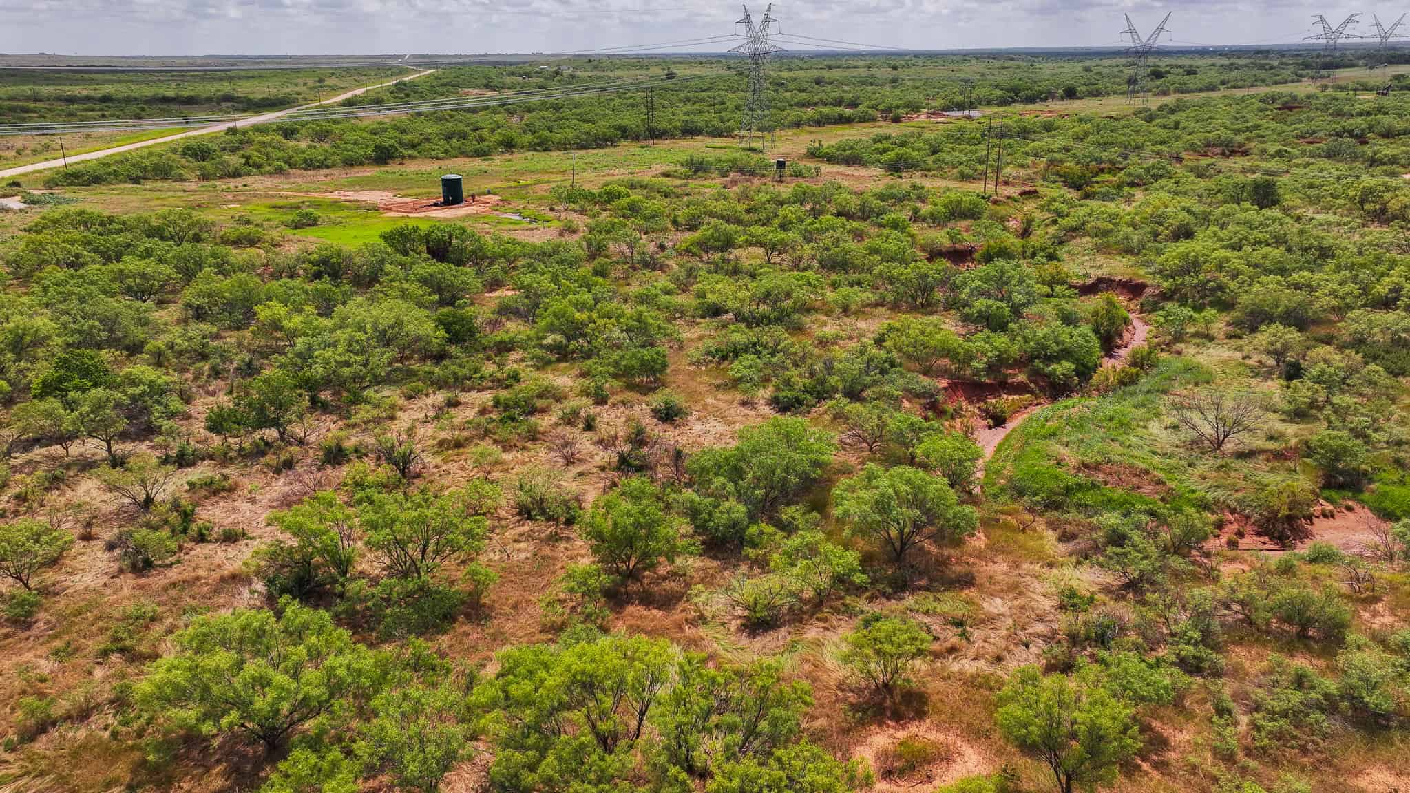 101 ac Superb Hunting Property Wichita County Texas