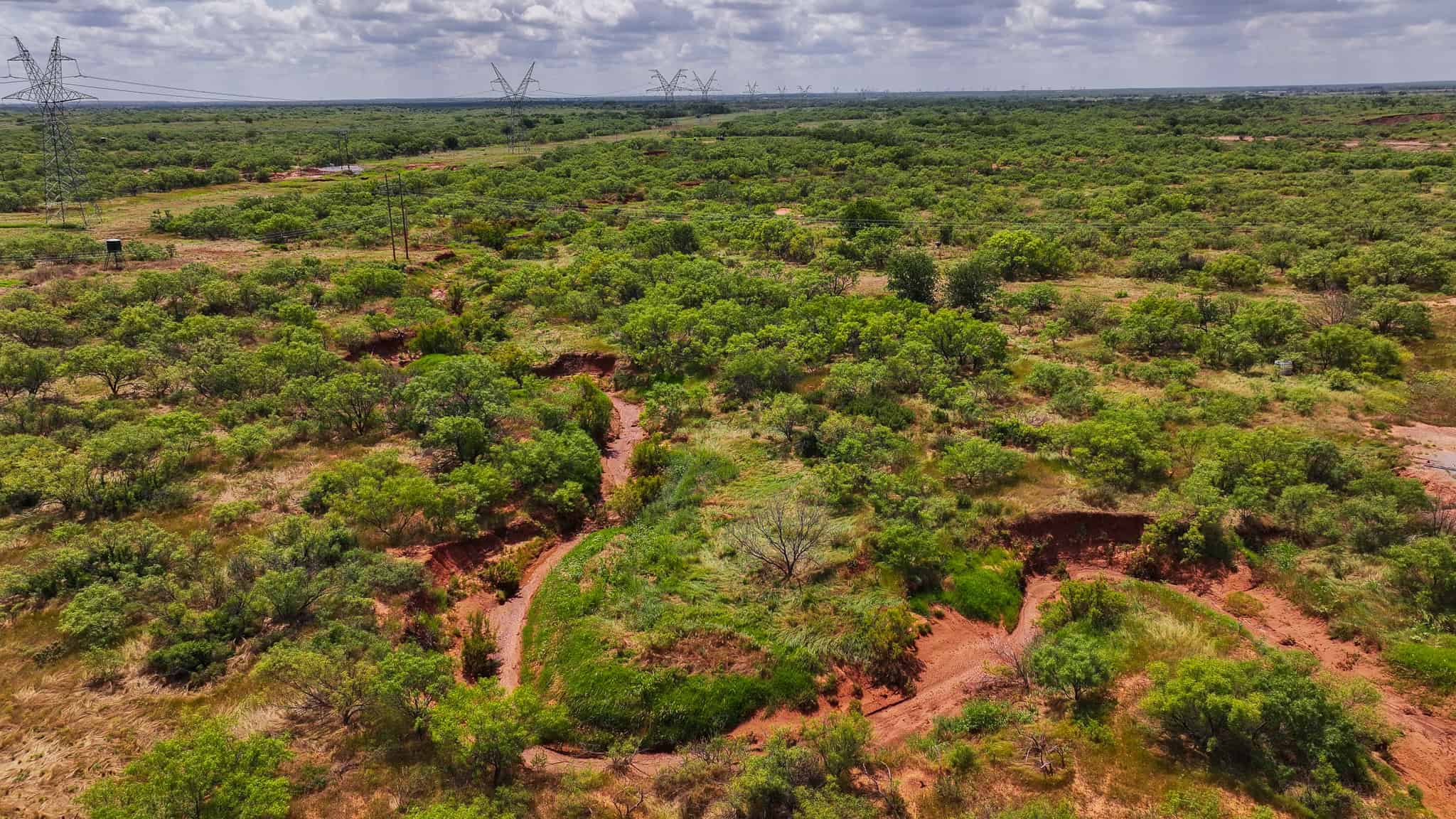 101 ac Superb Hunting Property Wichita County Texas