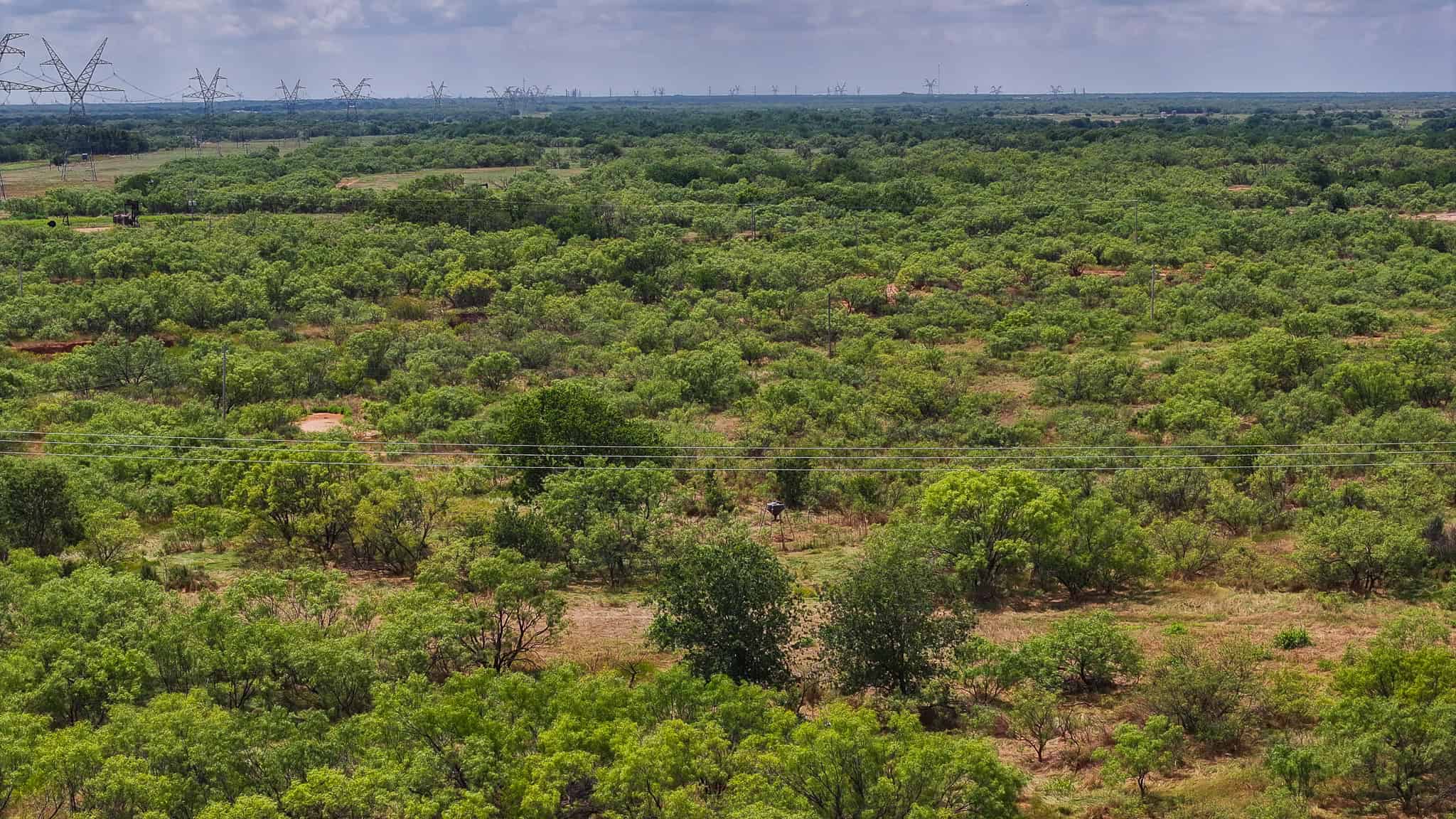 101 ac Superb Hunting Property Wichita County Texas