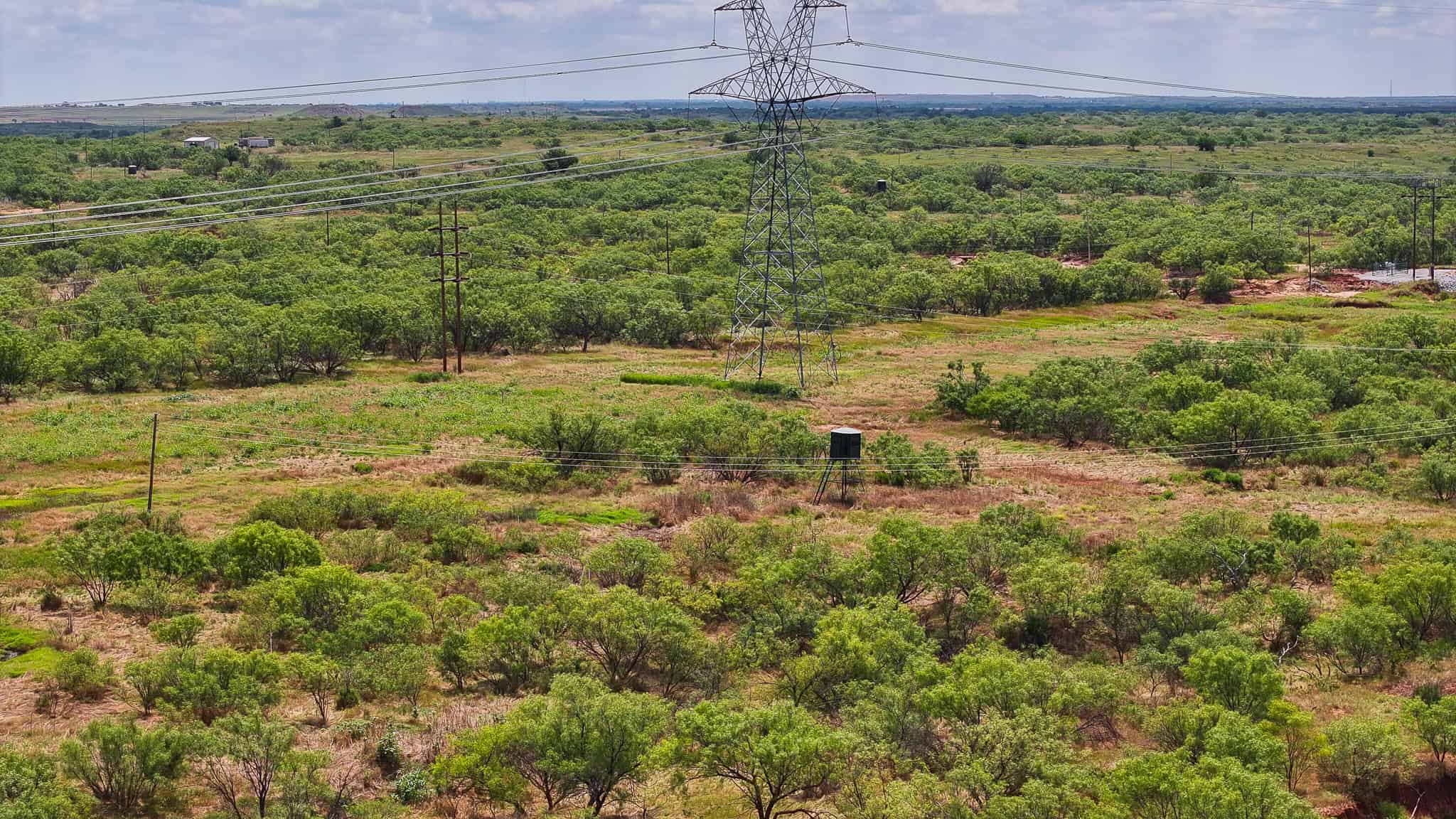 101 ac Superb Hunting Property Wichita County Texas