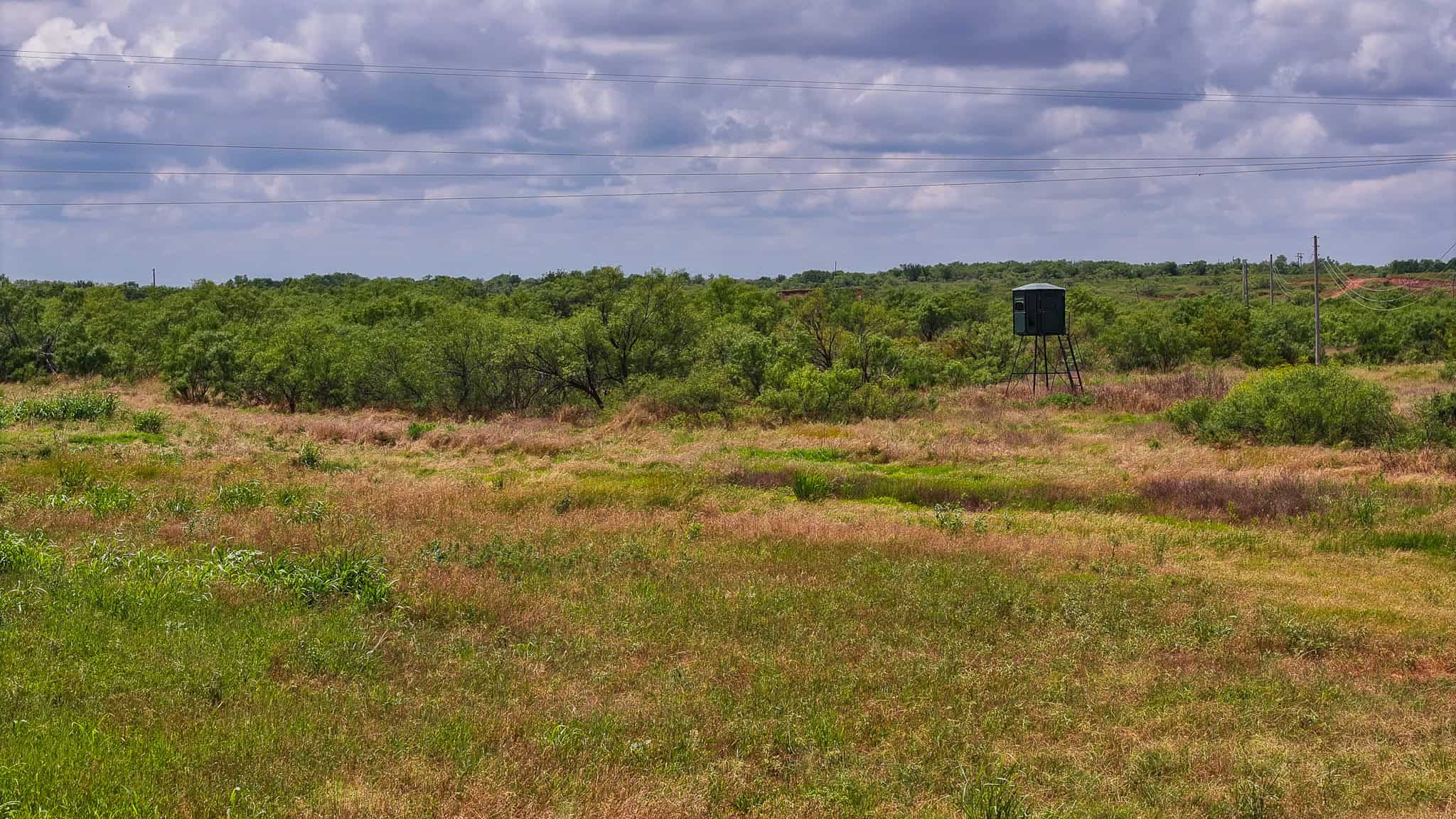 101 ac Superb Hunting Property Wichita County Texas