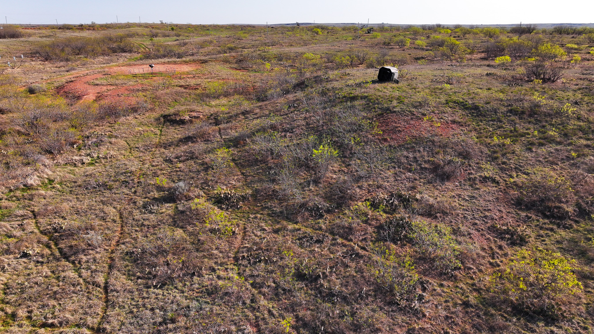 210 ac Superb Hunting Property Wichita County Texas