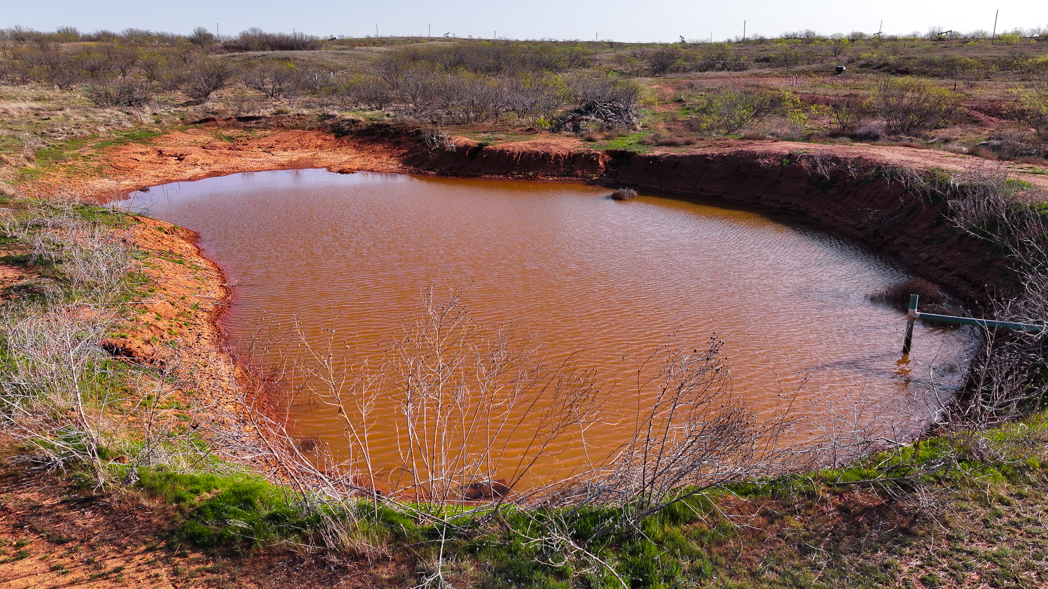 210 ac Superb Hunting Property Wichita County Texas