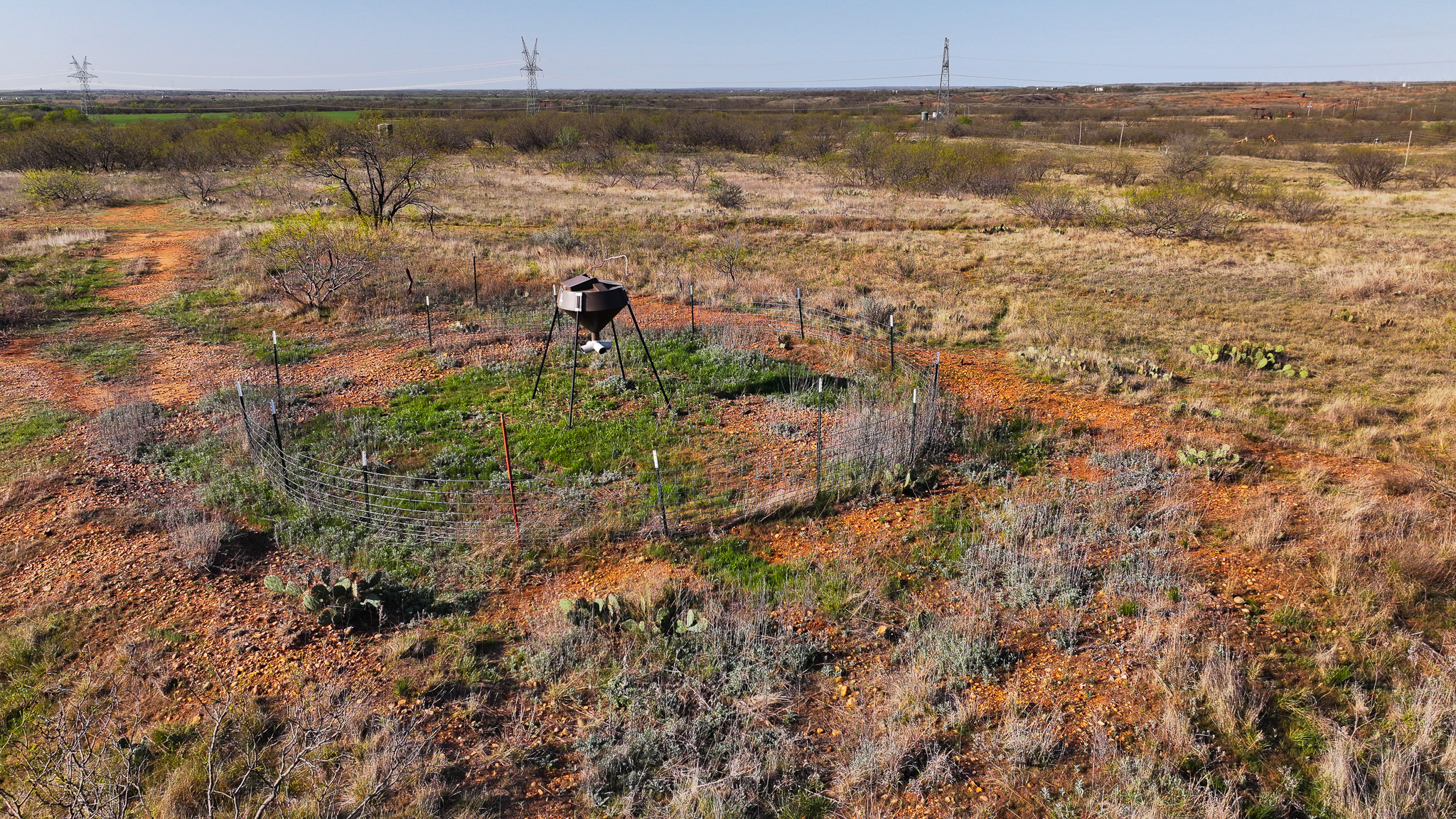 210 ac Superb Hunting Property Wichita County Texas