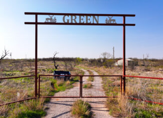 210 ac Superb Hunting Property Wichita County Texas