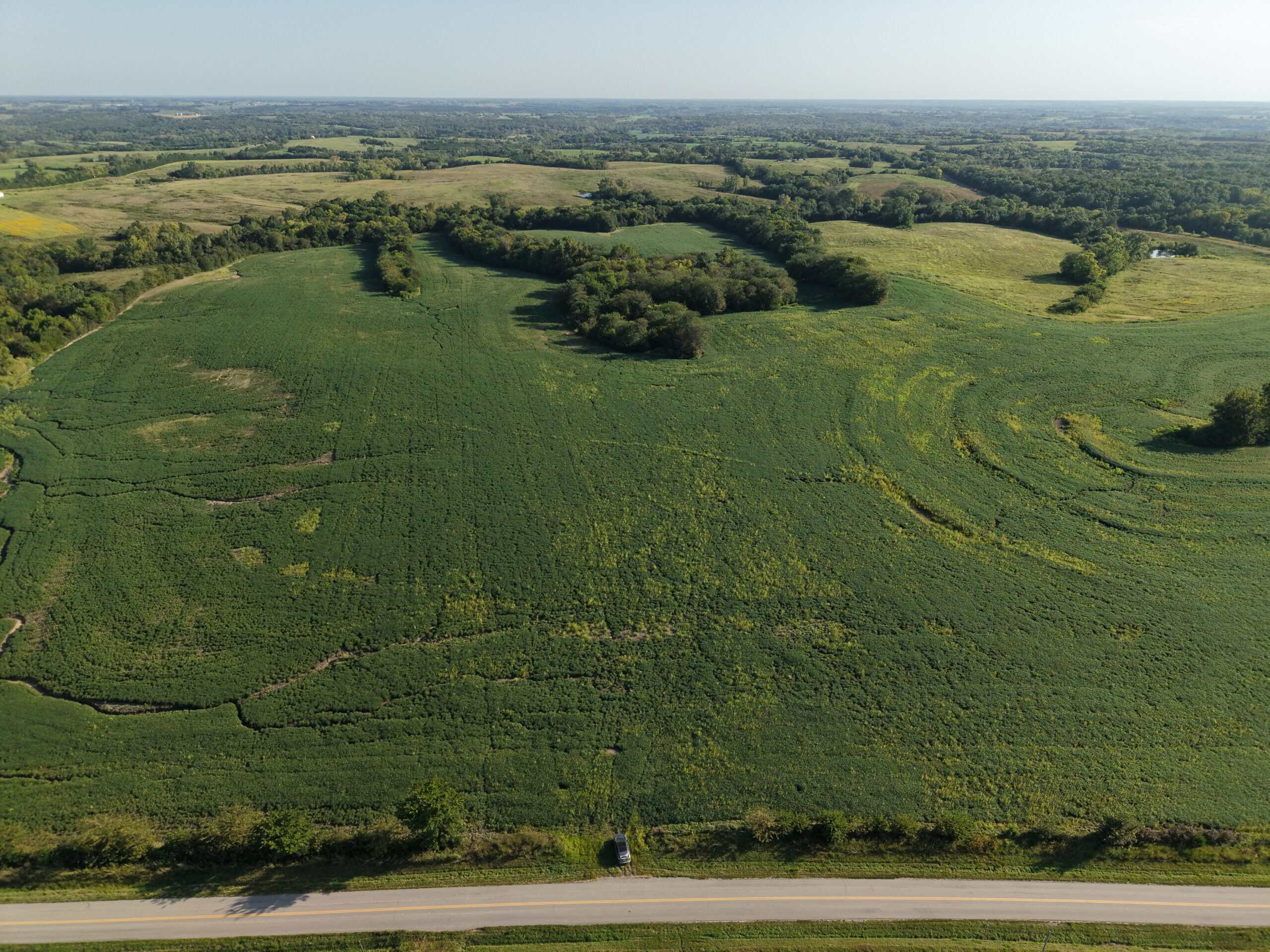 Albany, Mo farm with 196 m/l Acres