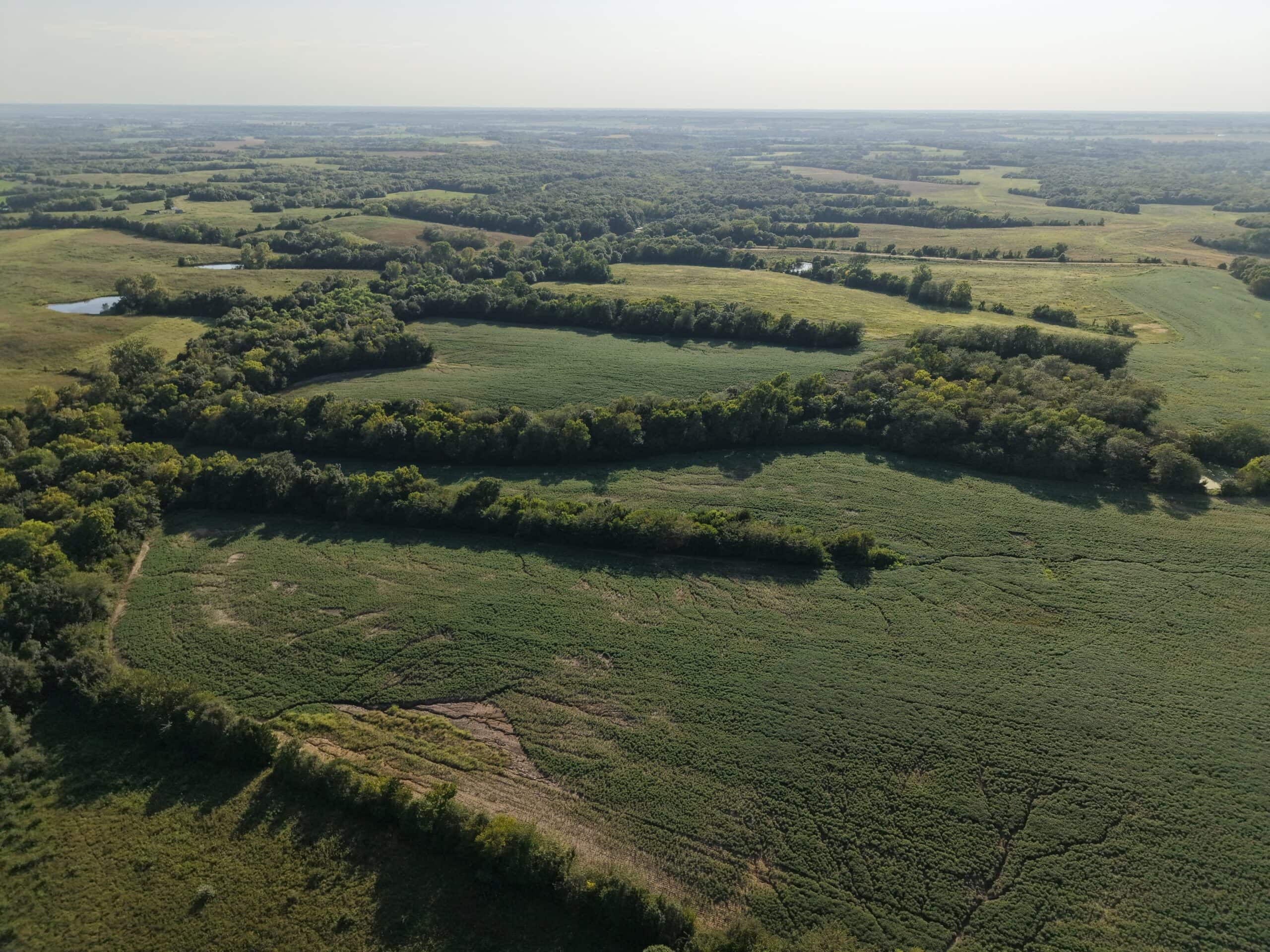 Albany, Mo farm with 196 m/l Acres