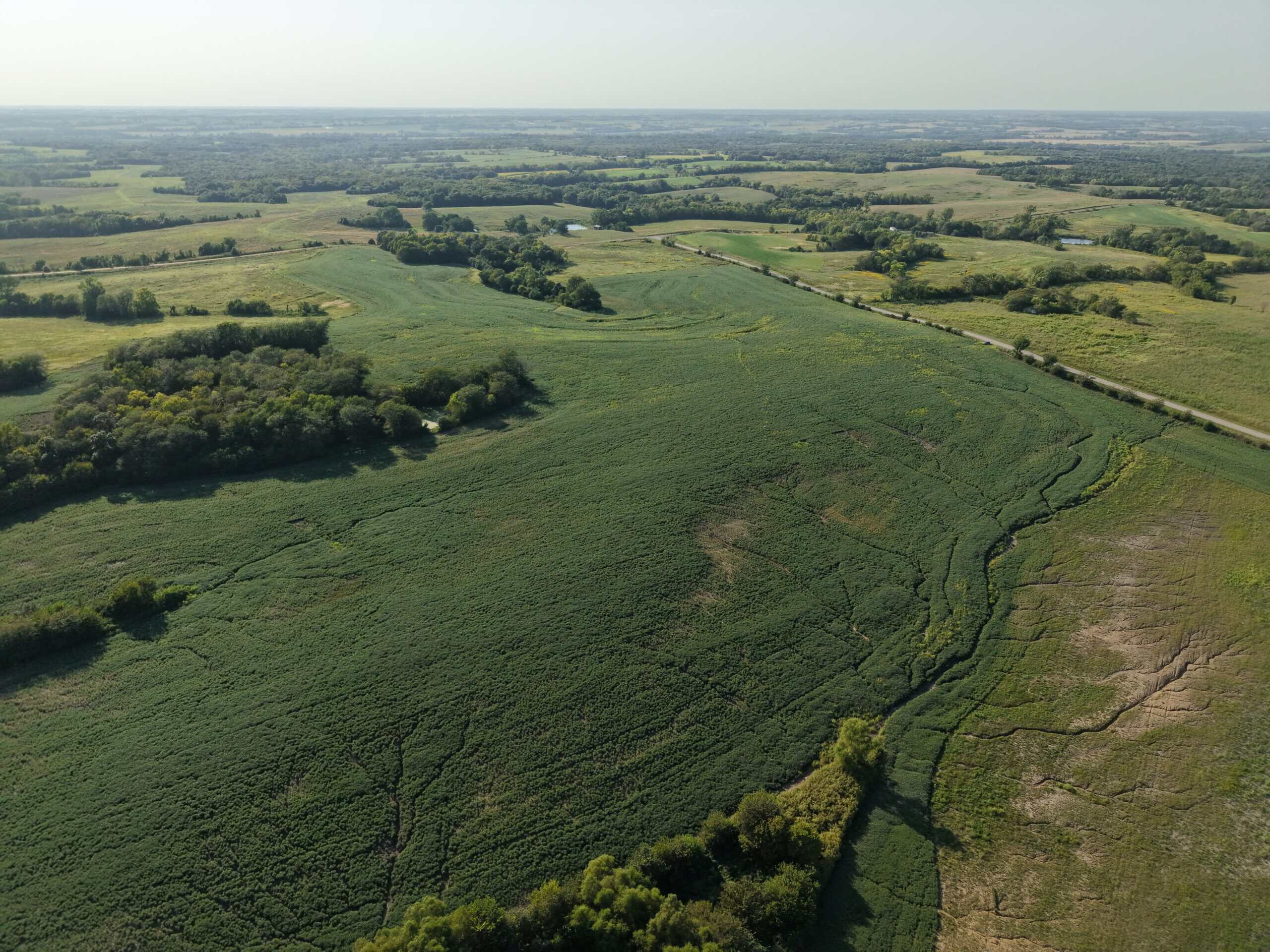 Albany, Mo farm with 196 m/l Acres