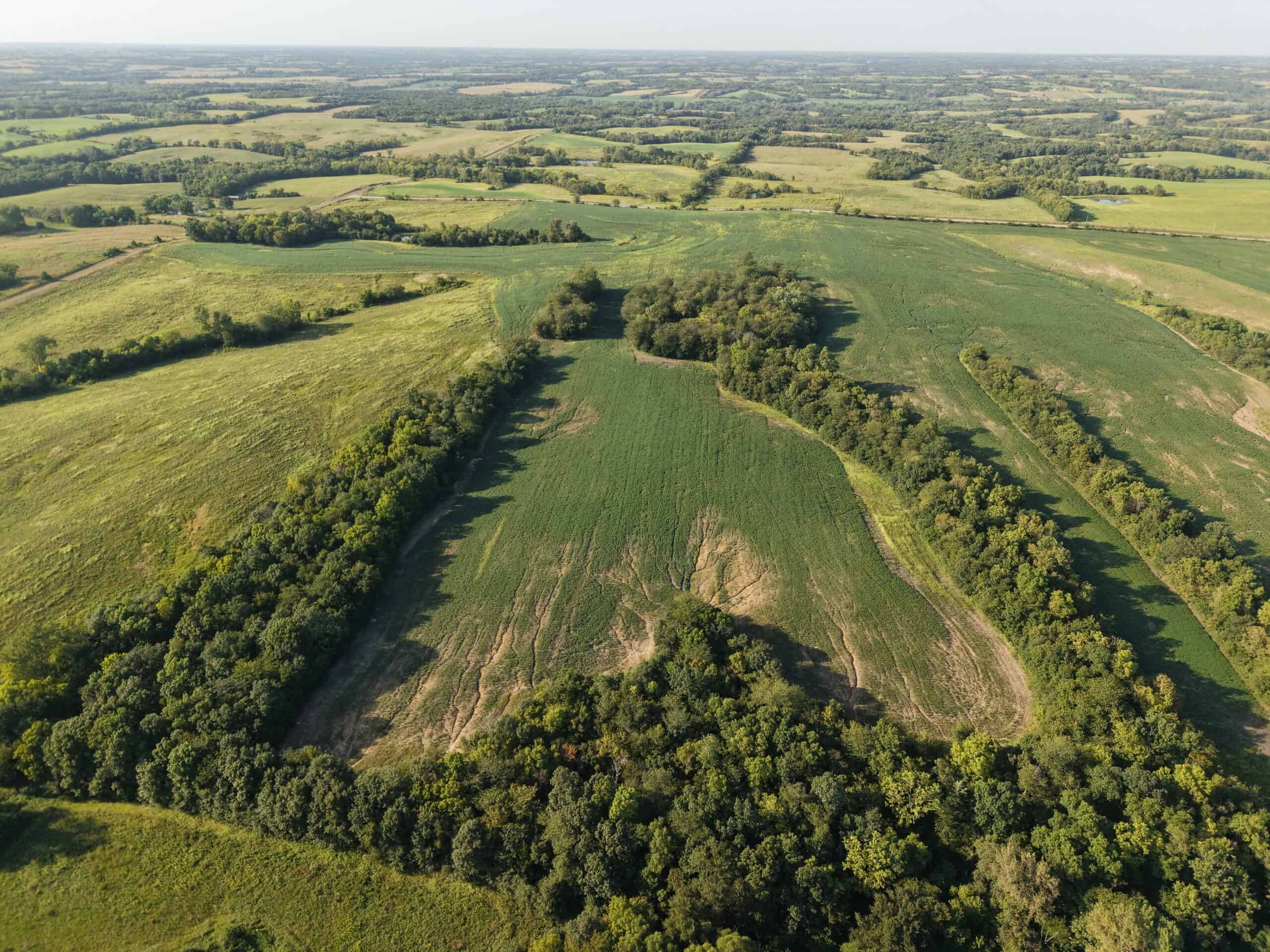 Albany, Mo farm with 196 m/l Acres
