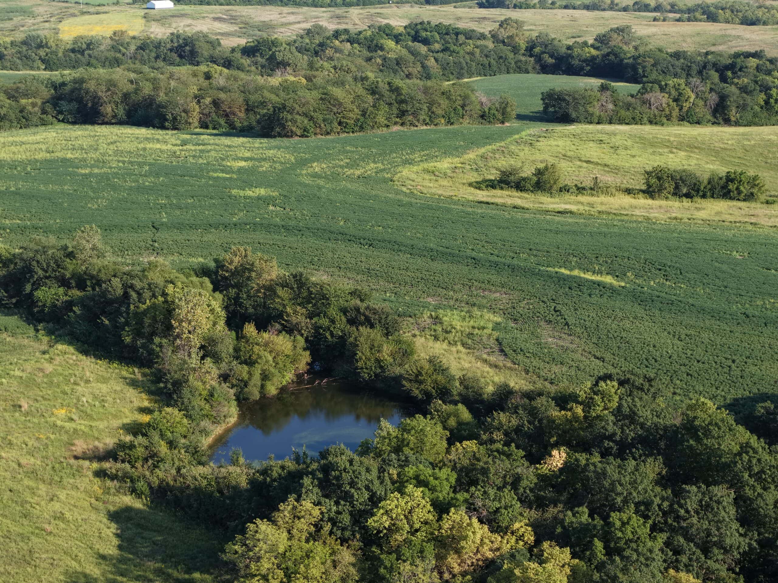 Albany, Mo farm with 196 m/l Acres