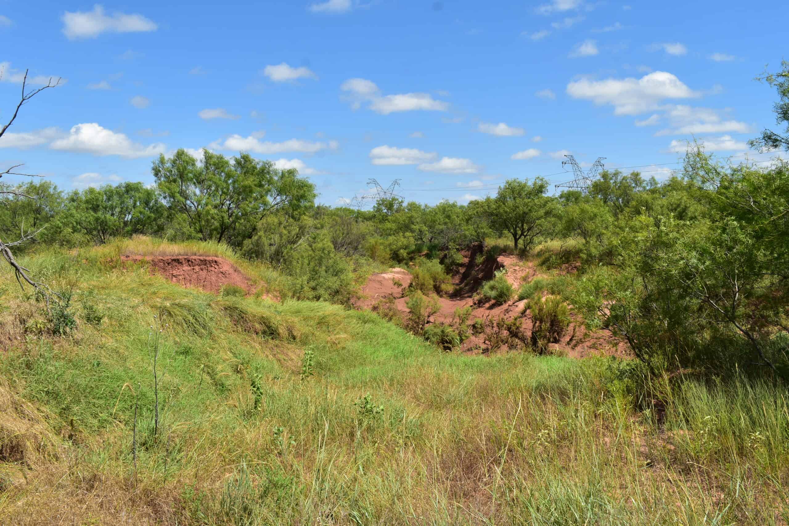 101 ac Superb Hunting Property Wichita County Texas