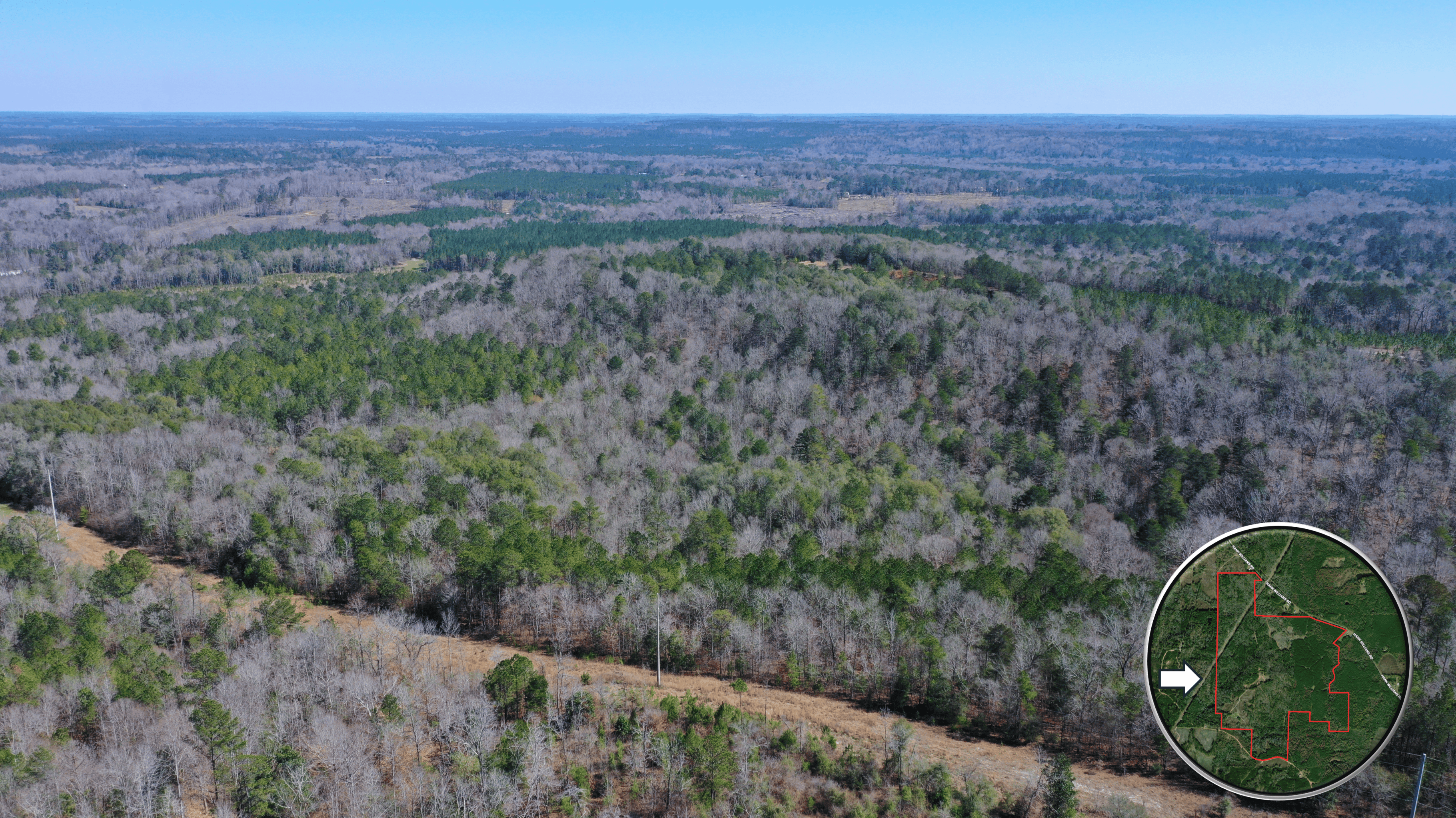 445 Acre Hunting & Timber Tract in Butler County, Alabama