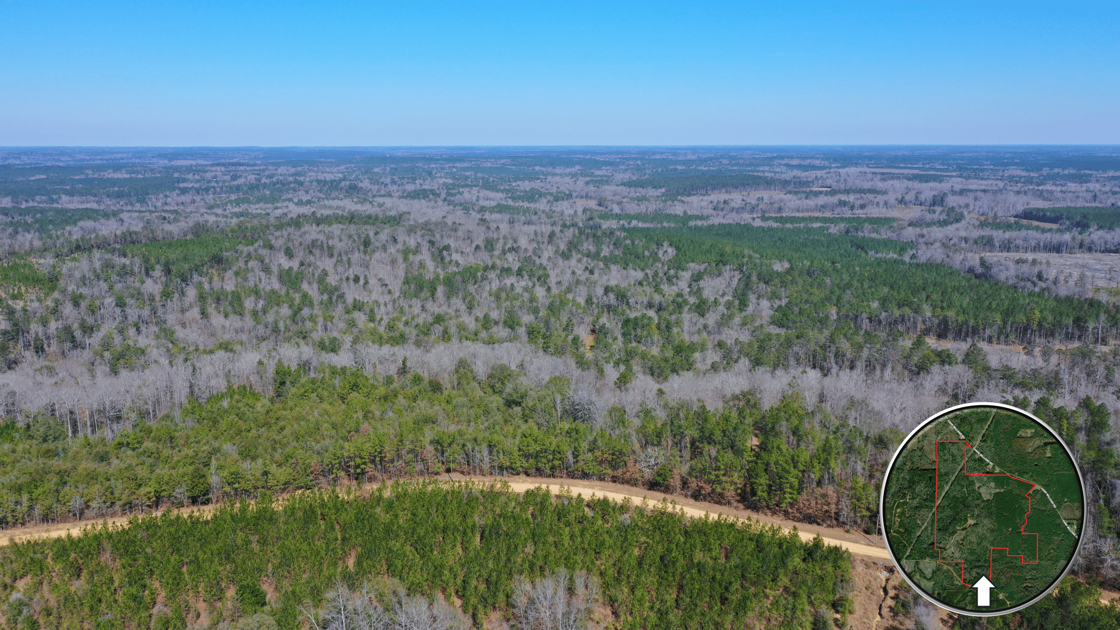 445 Acre Hunting & Timber Tract in Butler County, Alabama