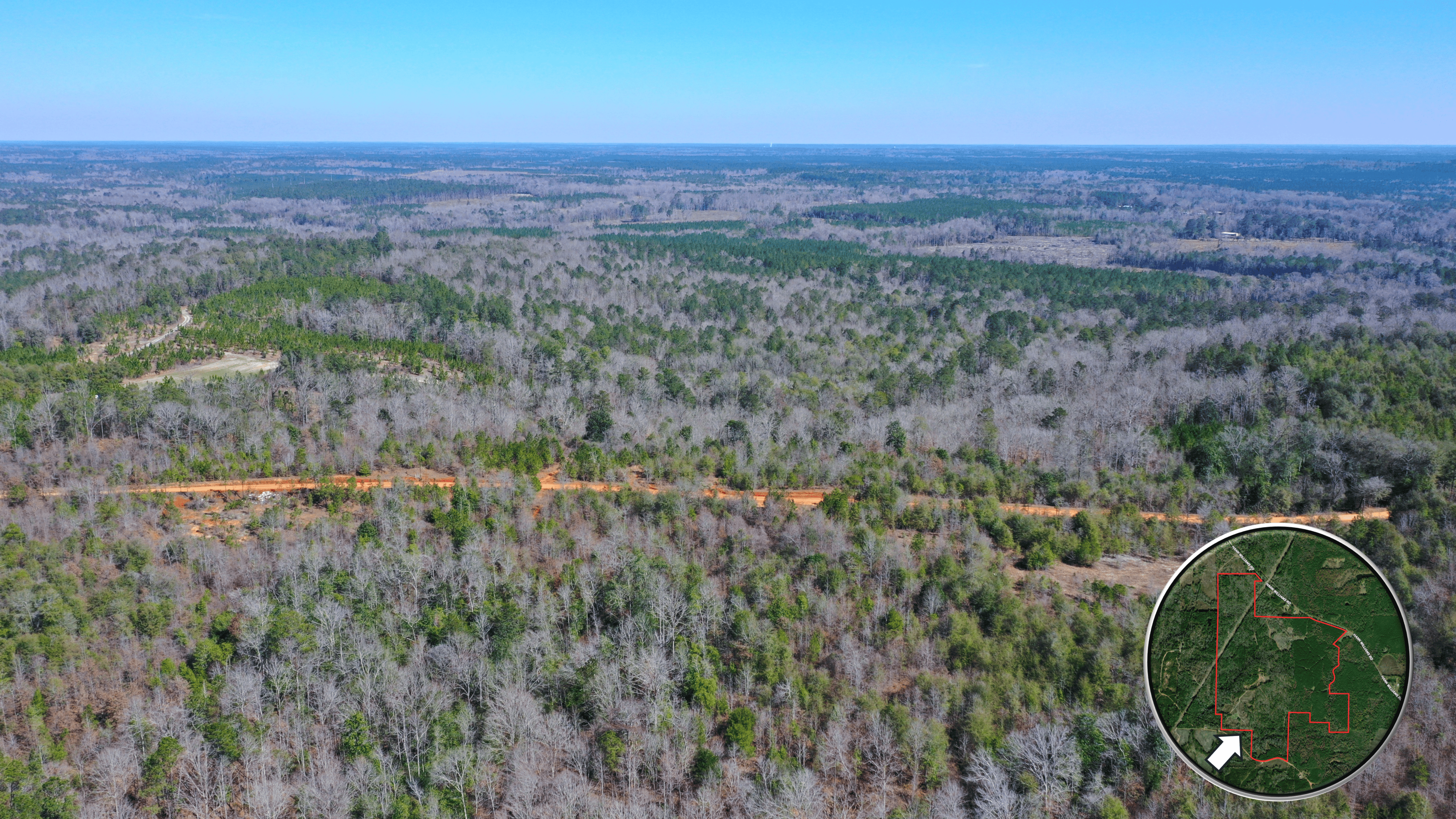 445 Acre Hunting & Timber Tract in Butler County, Alabama