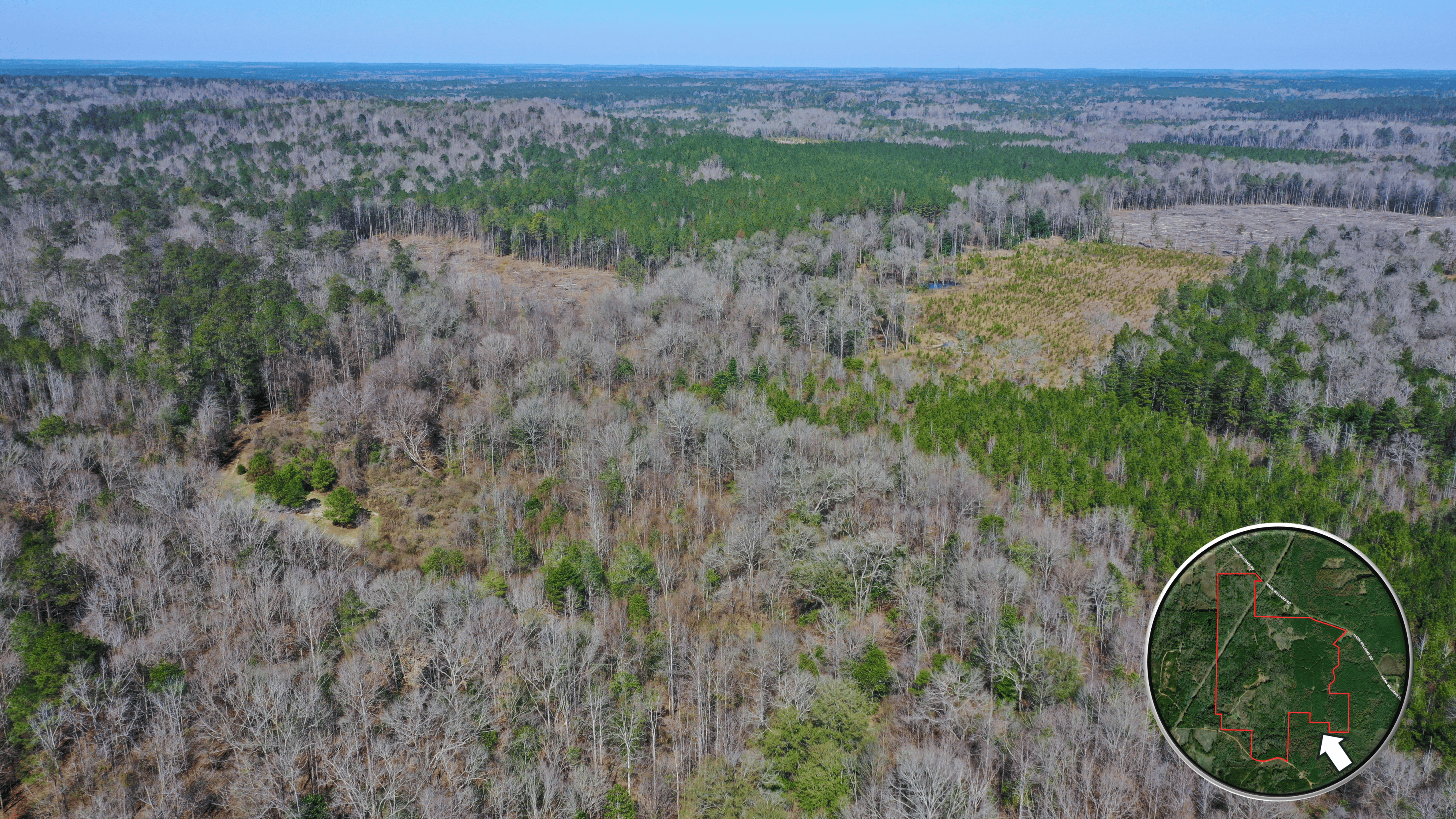 445 Acre Hunting & Timber Tract in Butler County, Alabama