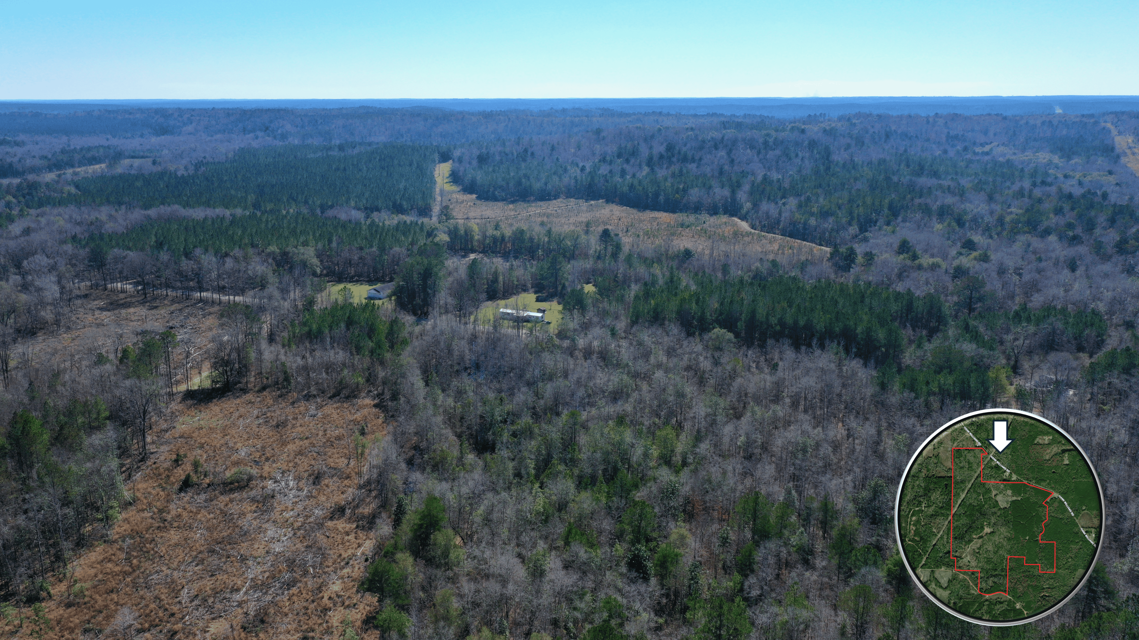 445 Acre Hunting & Timber Tract in Butler County, Alabama