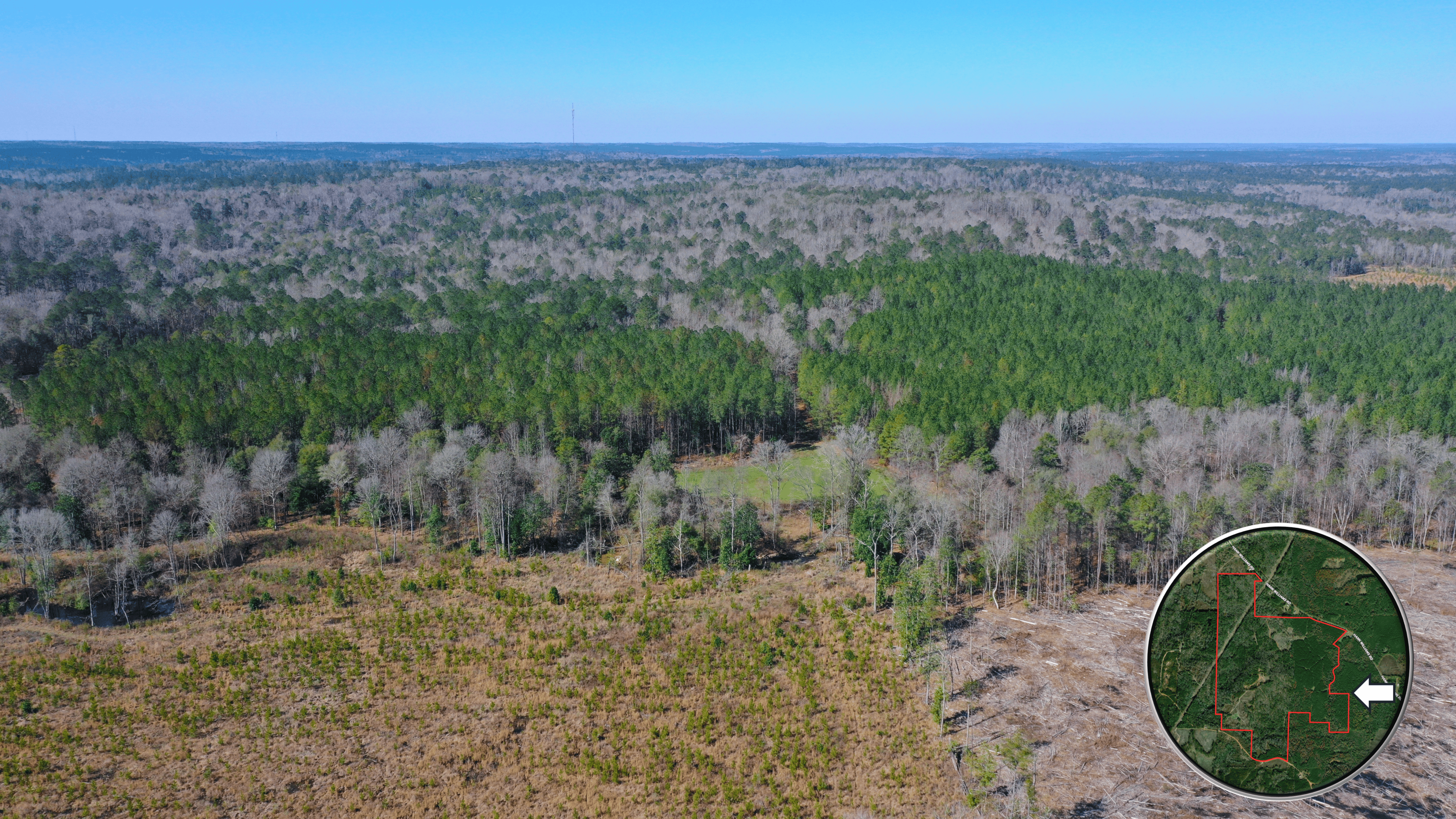 445 Acre Hunting & Timber Tract in Butler County, Alabama