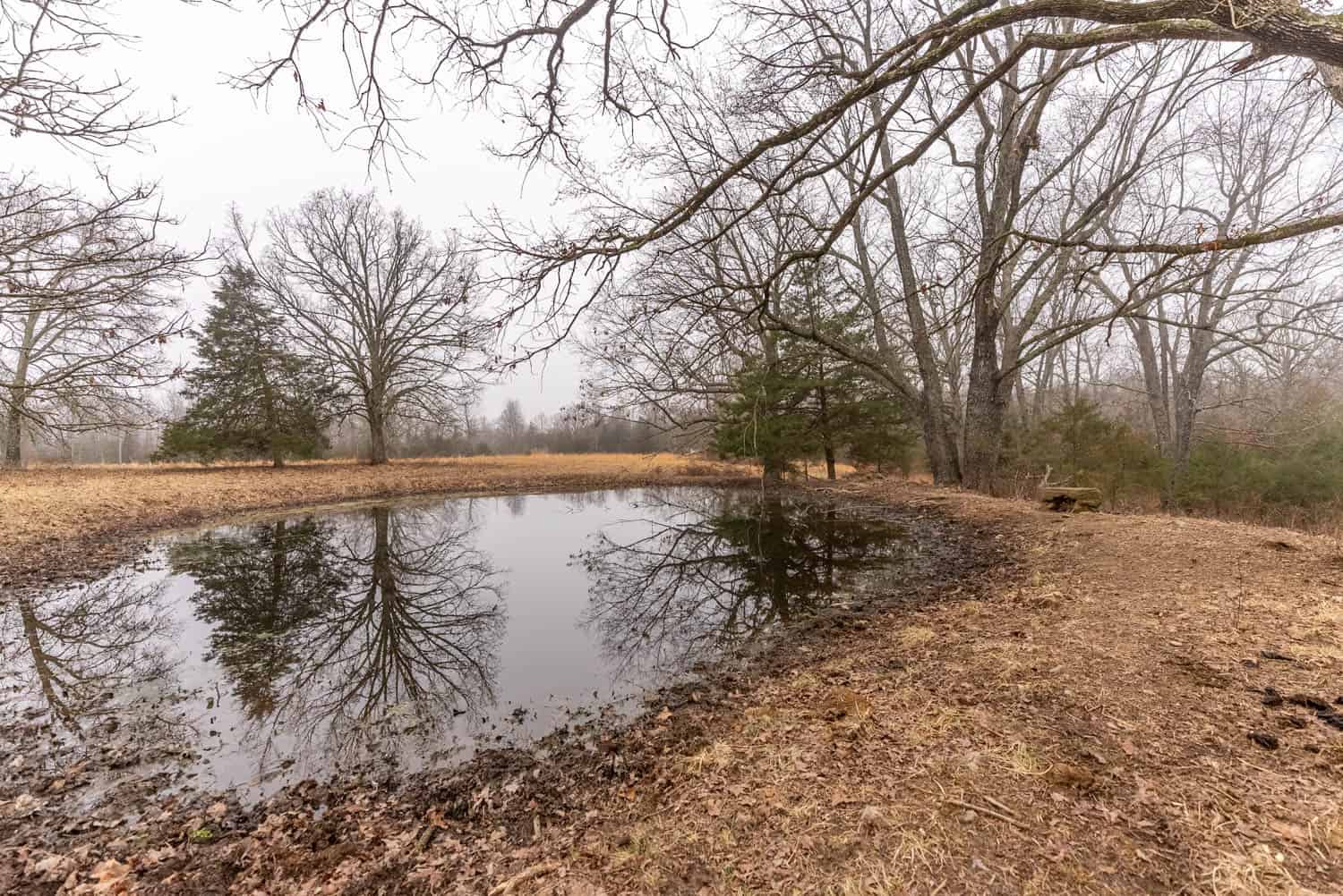 Farm | Home and 40 Acres for Sale in West Plains Missouri