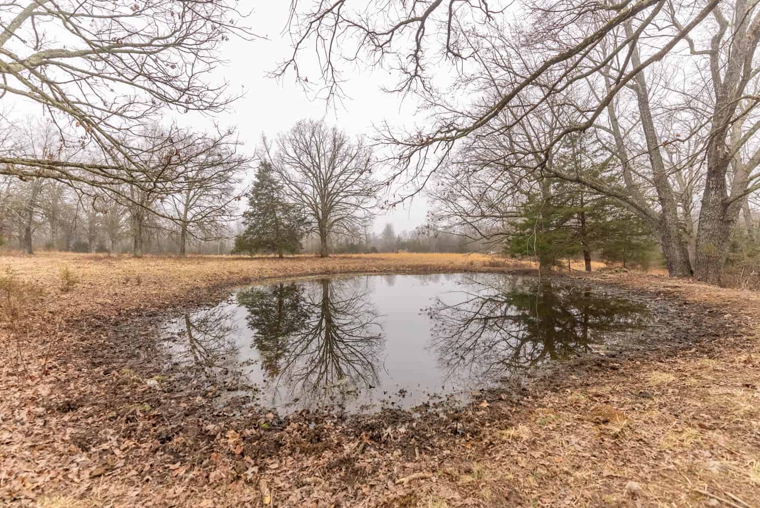 Farm | Home and 40 Acres for Sale in West Plains Missouri