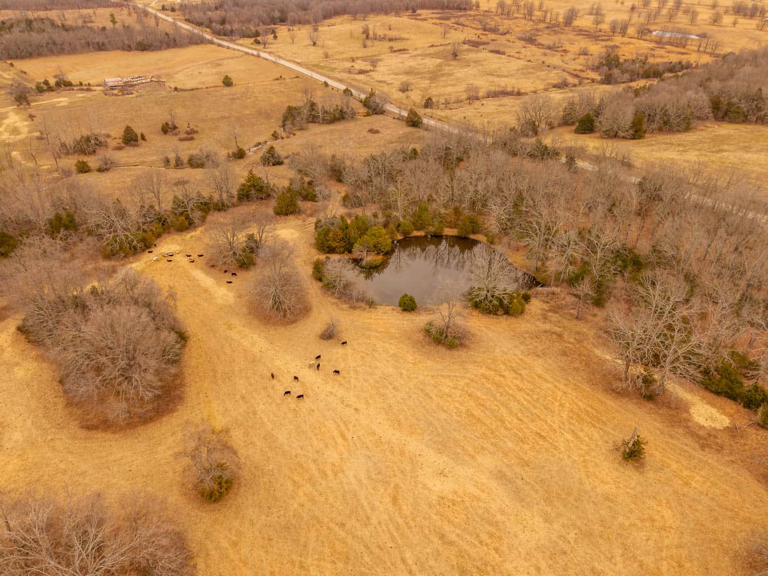 Farm | Home and 40 Acres for Sale in West Plains Missouri