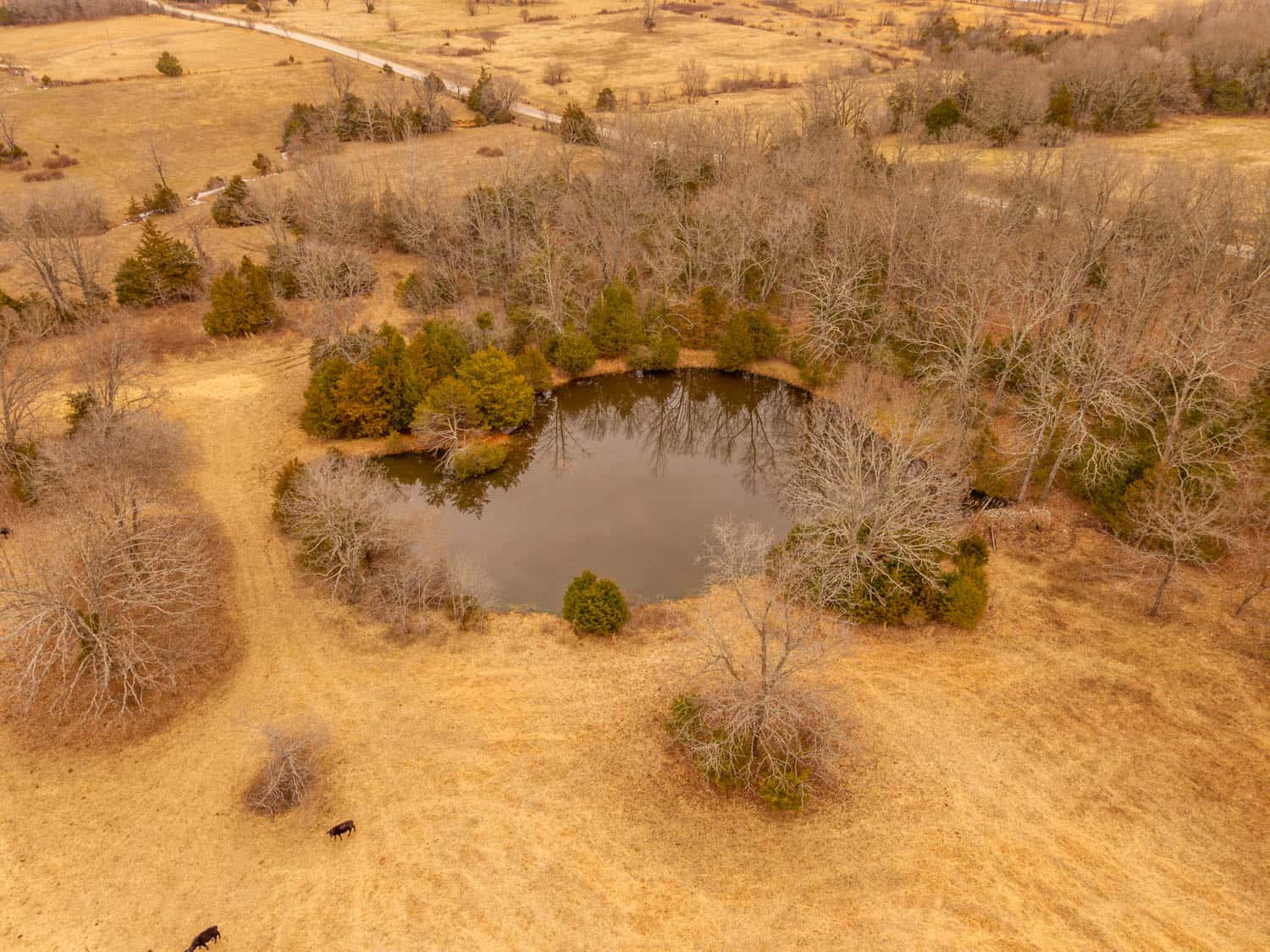 Farm | Home and 40 Acres for Sale in West Plains Missouri