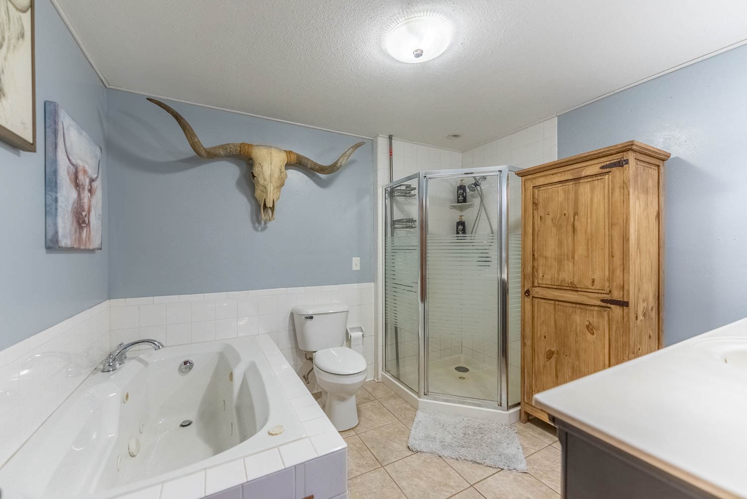 Established Horse Farm for Sale in the Howell County Ozarks