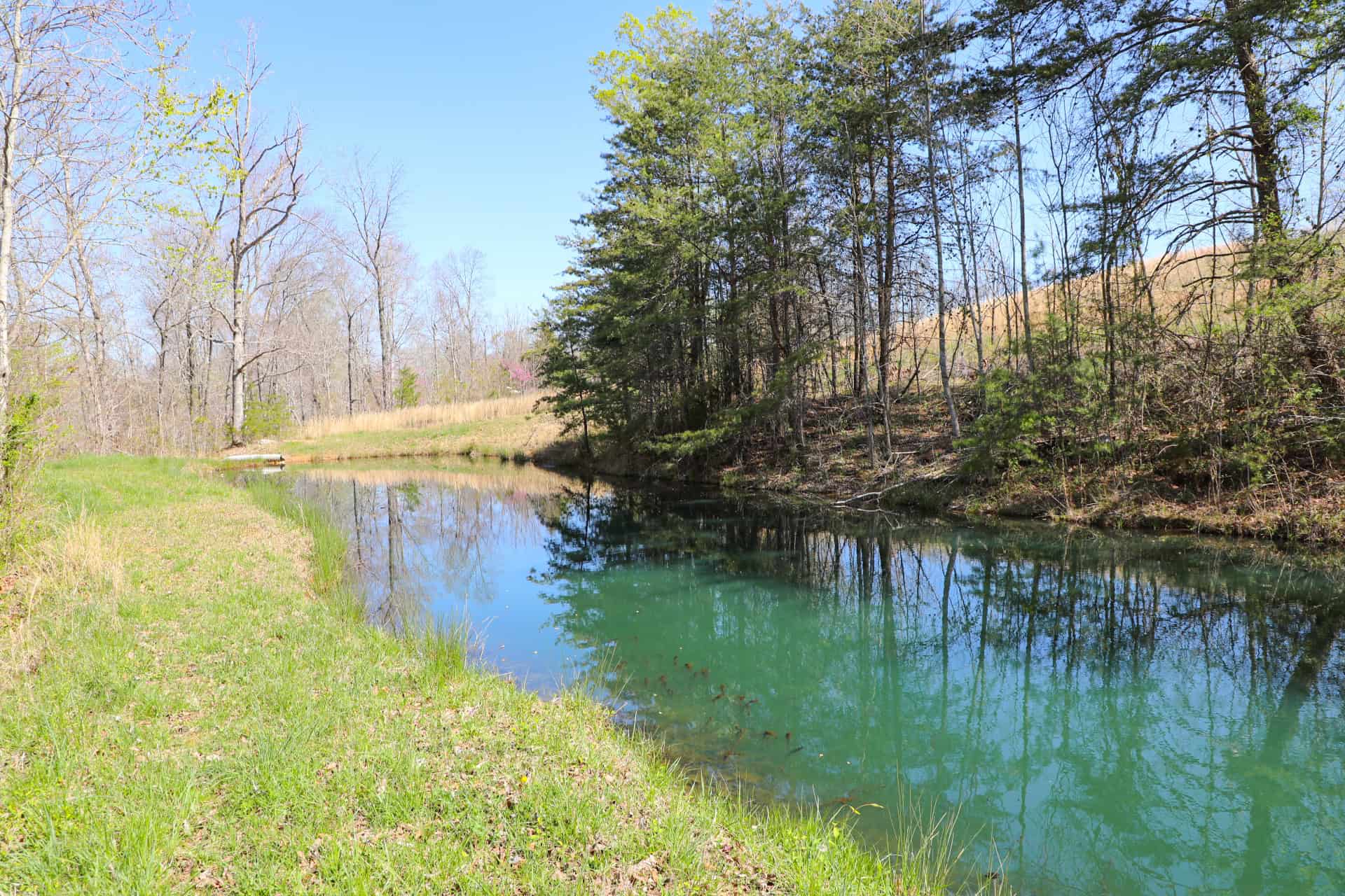 93 acre hunting property with home and large shop adjoining Lake Cumberland. Wayne County Kentucky. South Central Kentucky