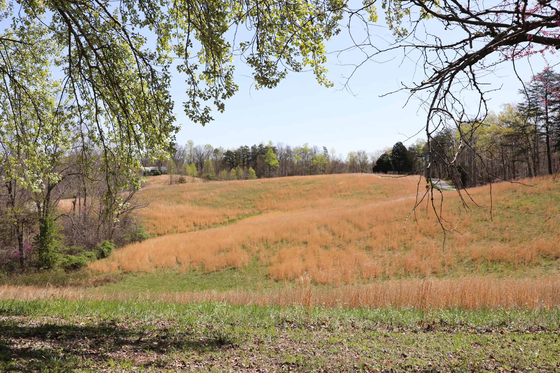 93 acre hunting property with home and large shop adjoining Lake Cumberland. Wayne County Kentucky. South Central Kentucky