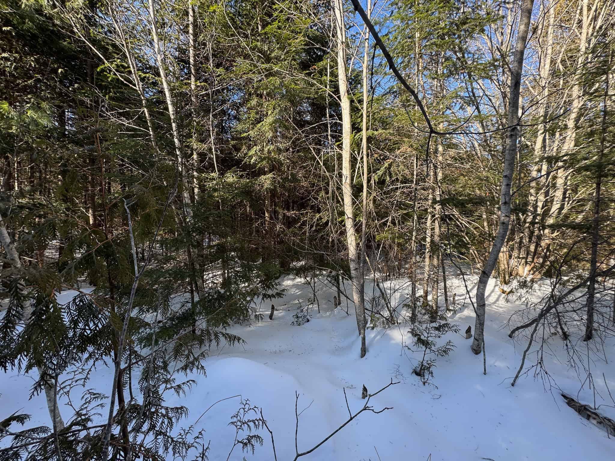 Maine Timberland Lot for Sale
