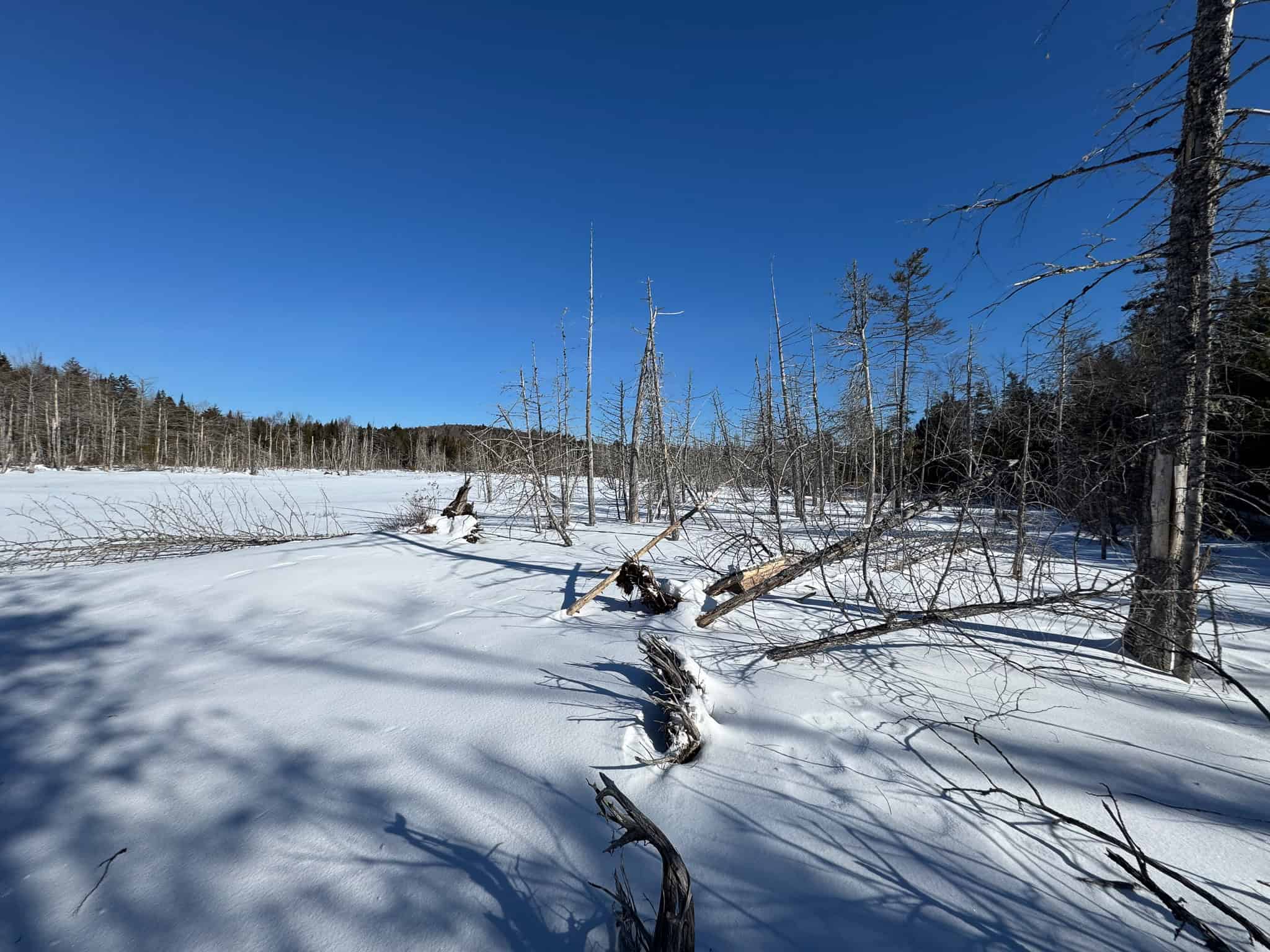 Maine Timberland Lot for Sale