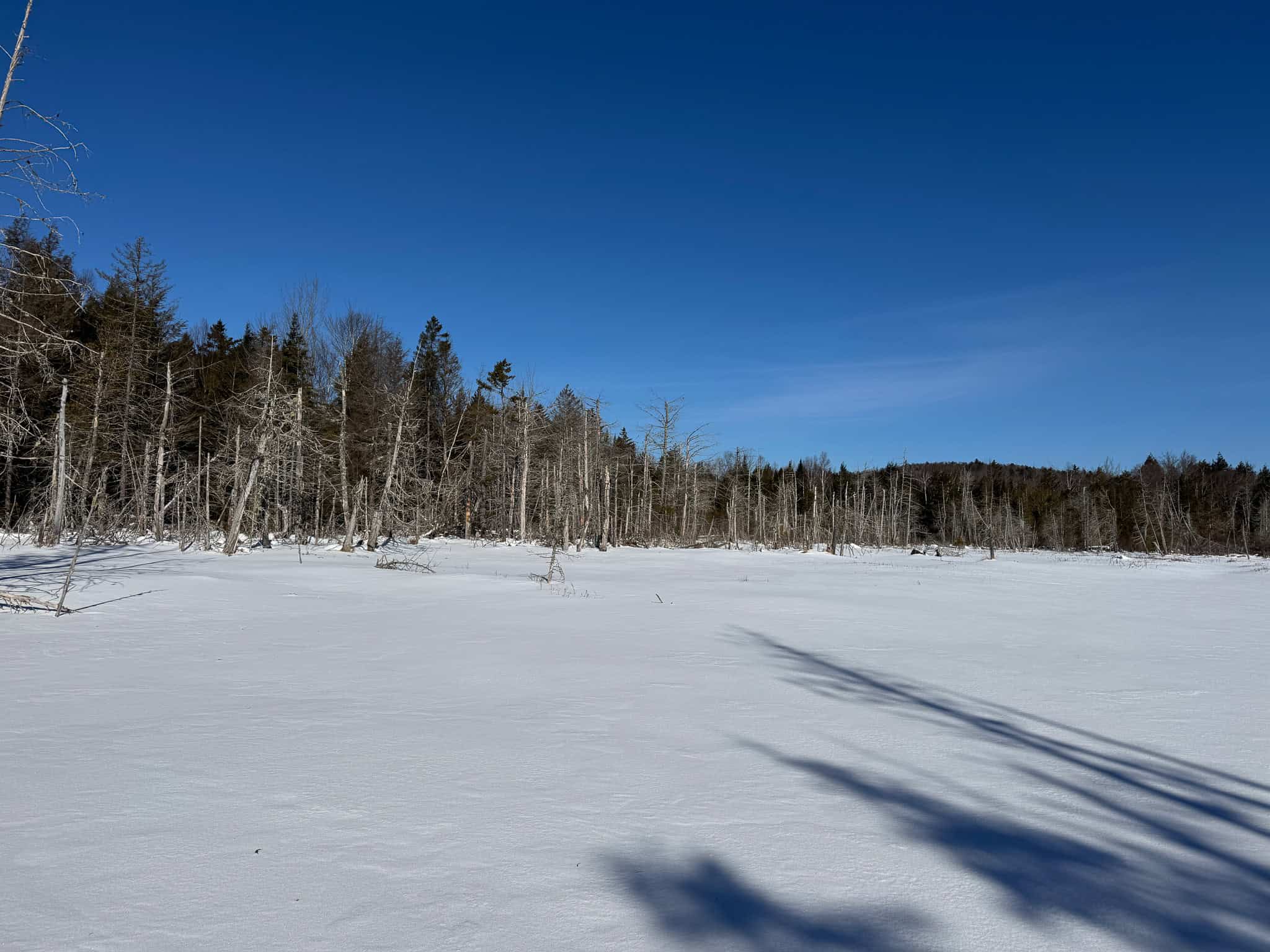 Maine Timberland Lot for Sale