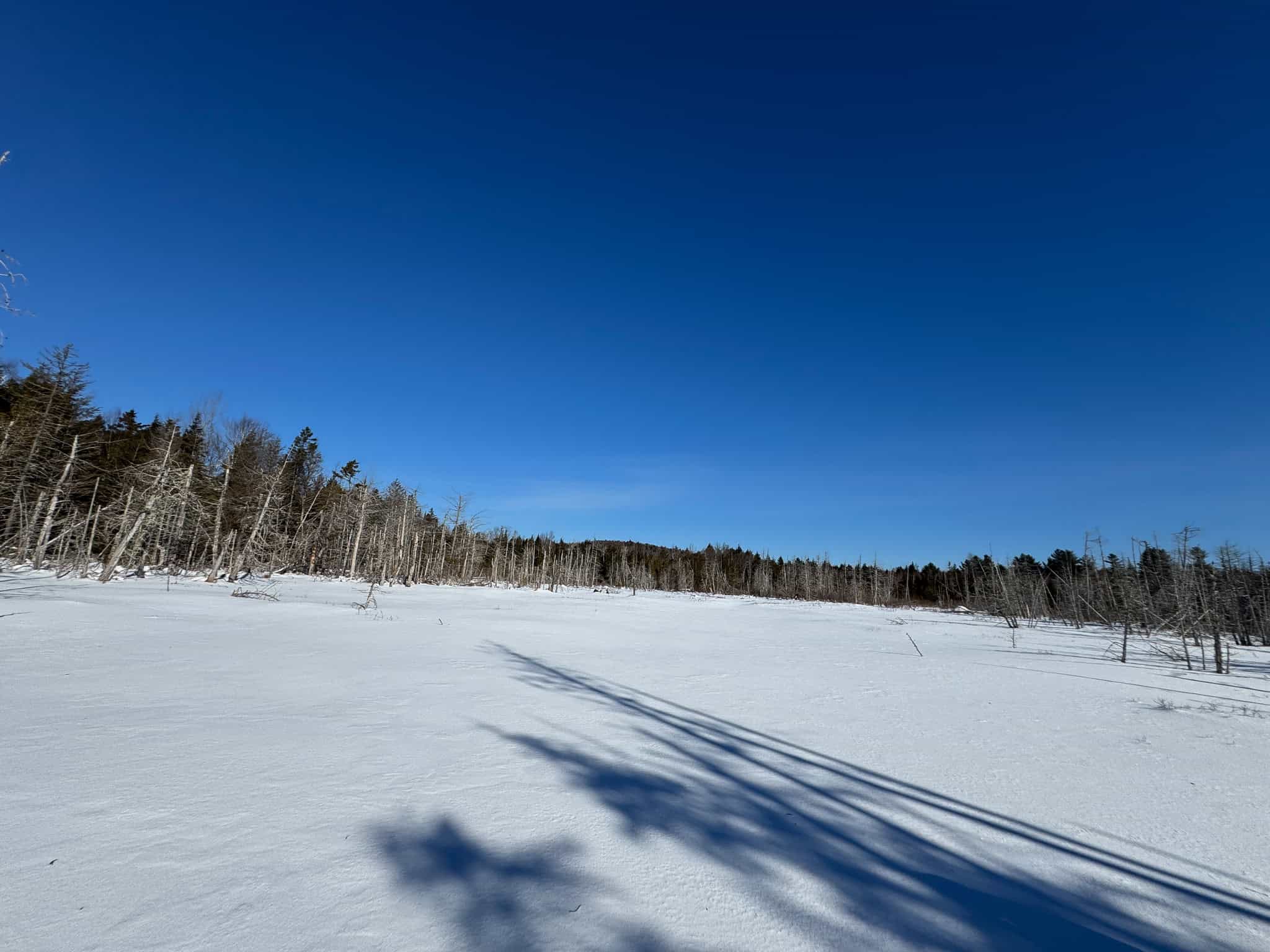 Maine Timberland Lot for Sale