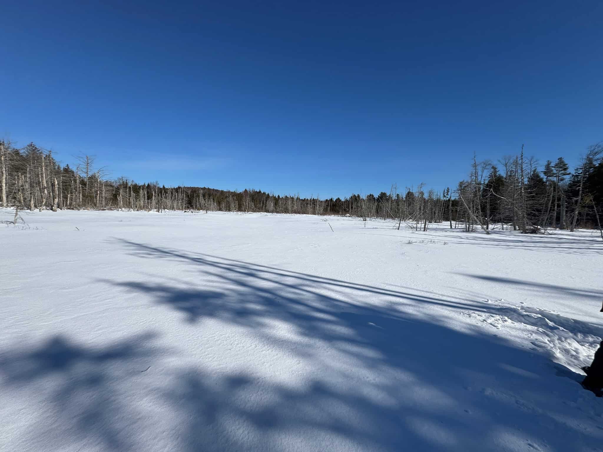 Maine Timberland Lot for Sale