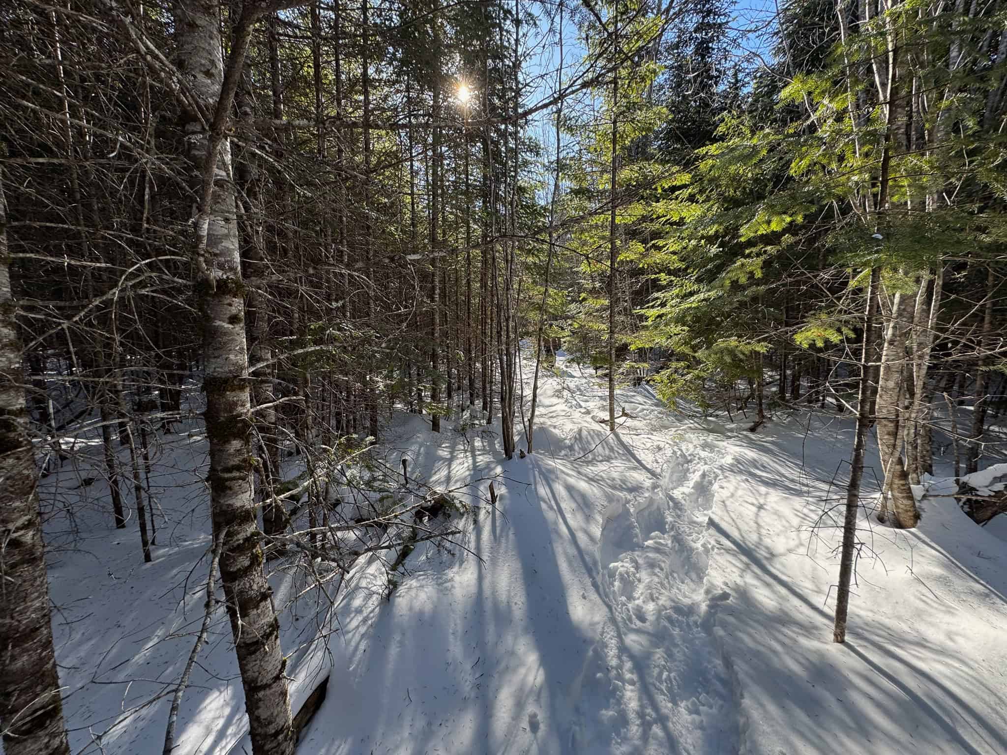 Maine Timberland Lot for Sale