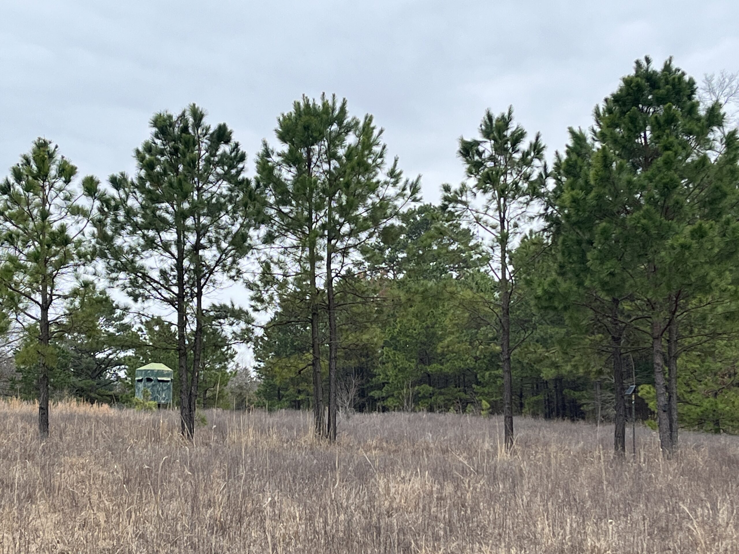 20-Acre Hunter’s Paradise in Southeastern Oklahoma-Prime location & Utilities Ready